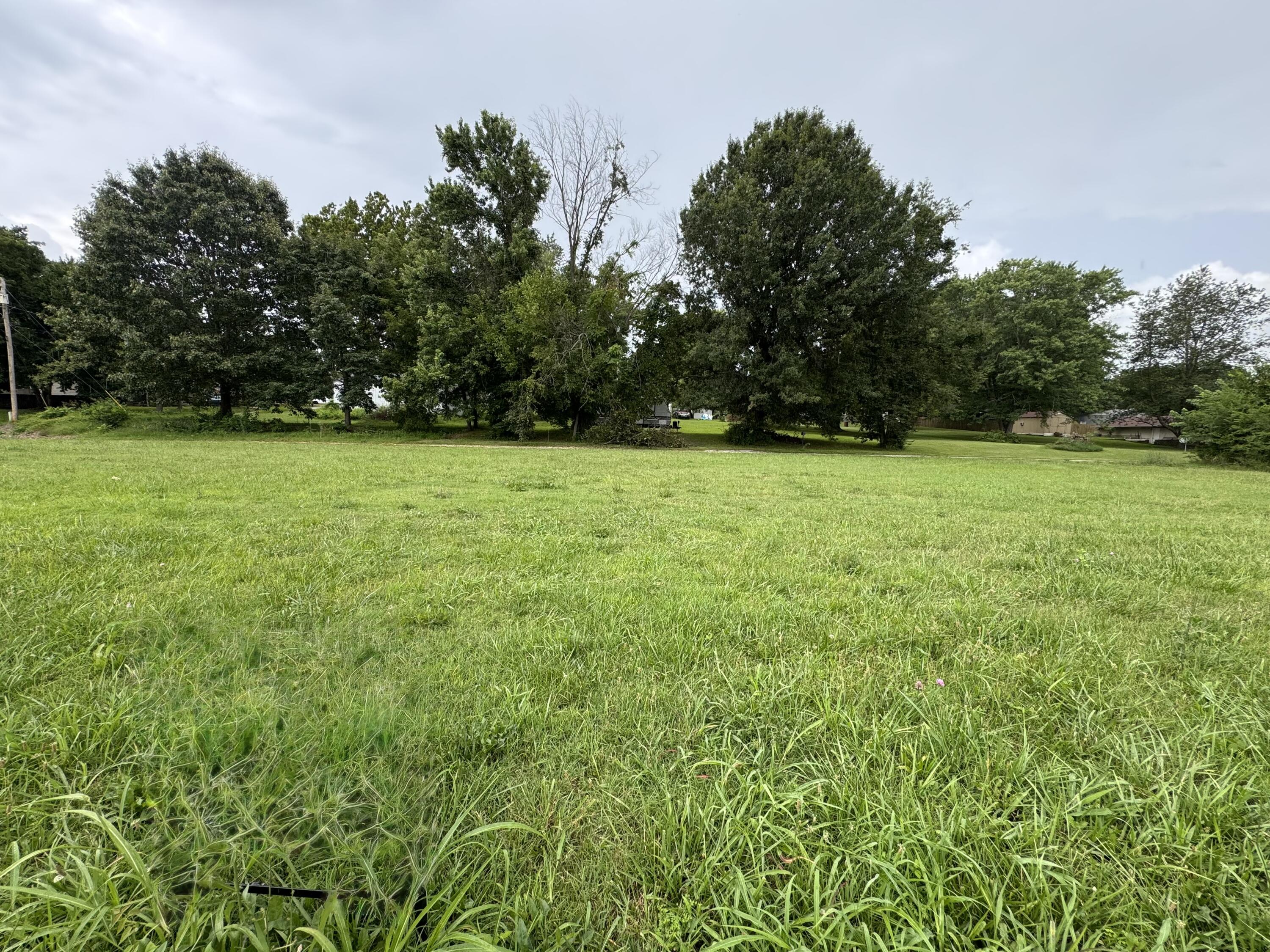 Land for sale – 310 S Gulf Street Walnut Grove, MO