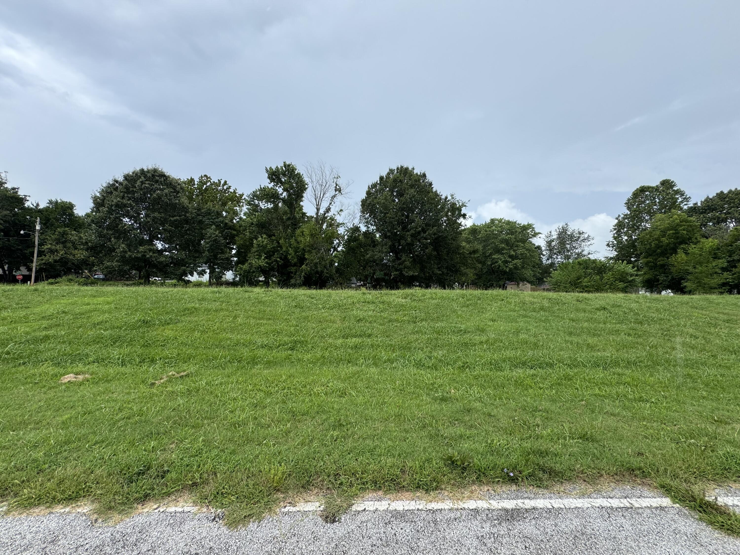 Photo 9 - Land for sale – 310 S Gulf Street  Walnut Grove, MO