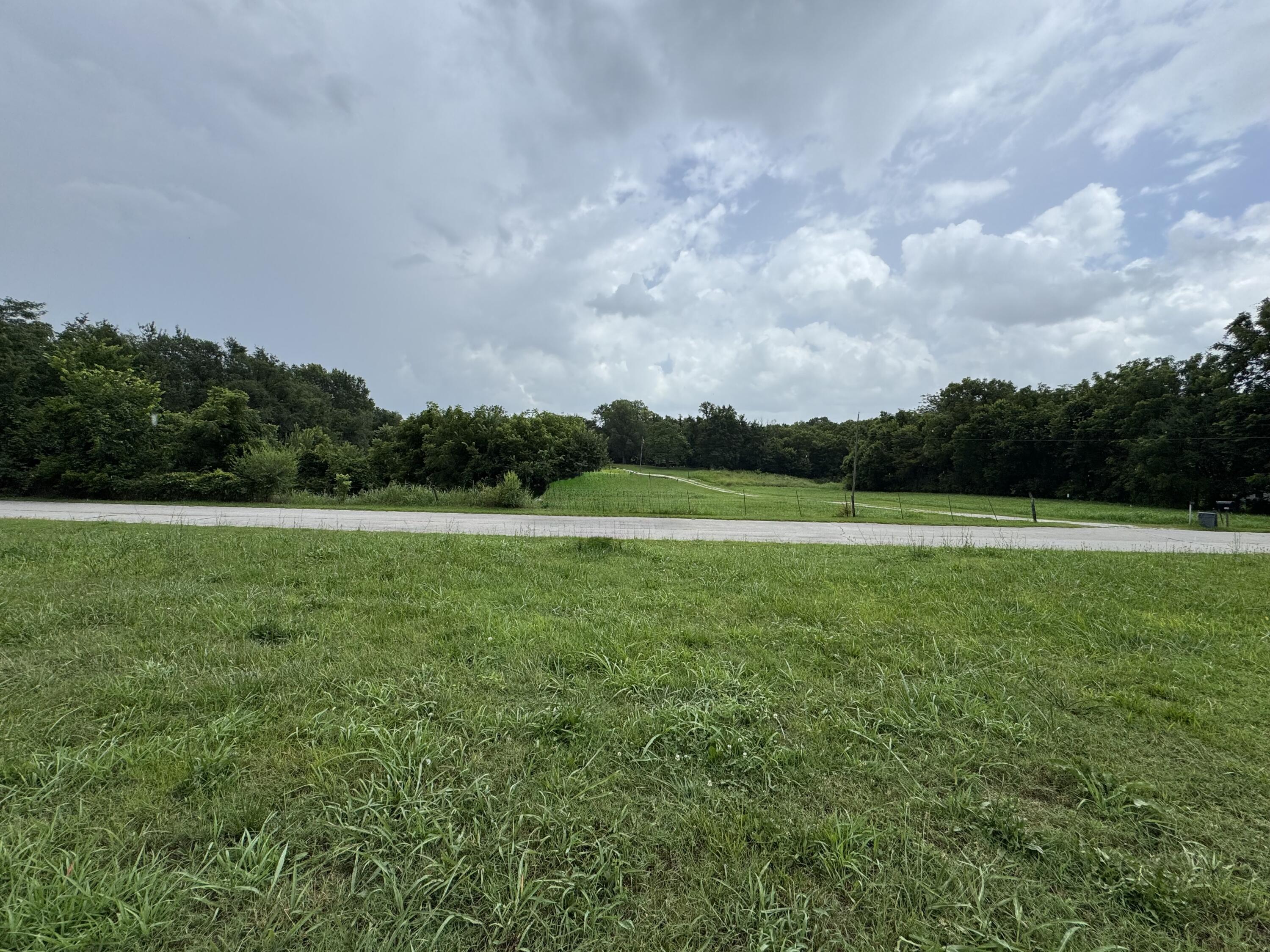 Photo 4 - Land for sale – 310 S Gulf Street  Walnut Grove, MO