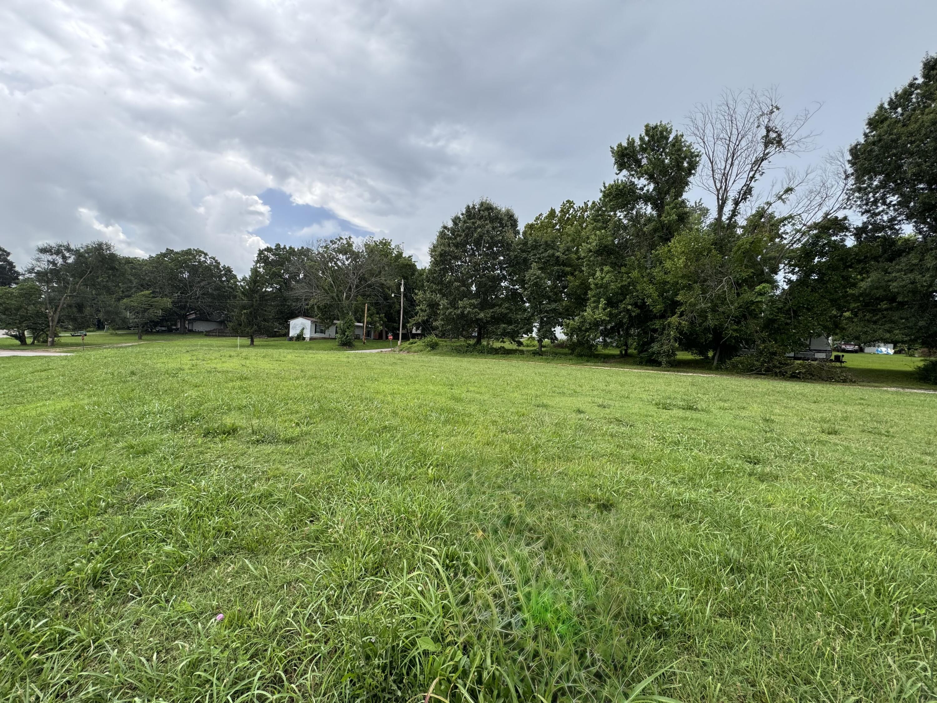 Photo 6 - Land for sale – 310 S Gulf Street  Walnut Grove, MO