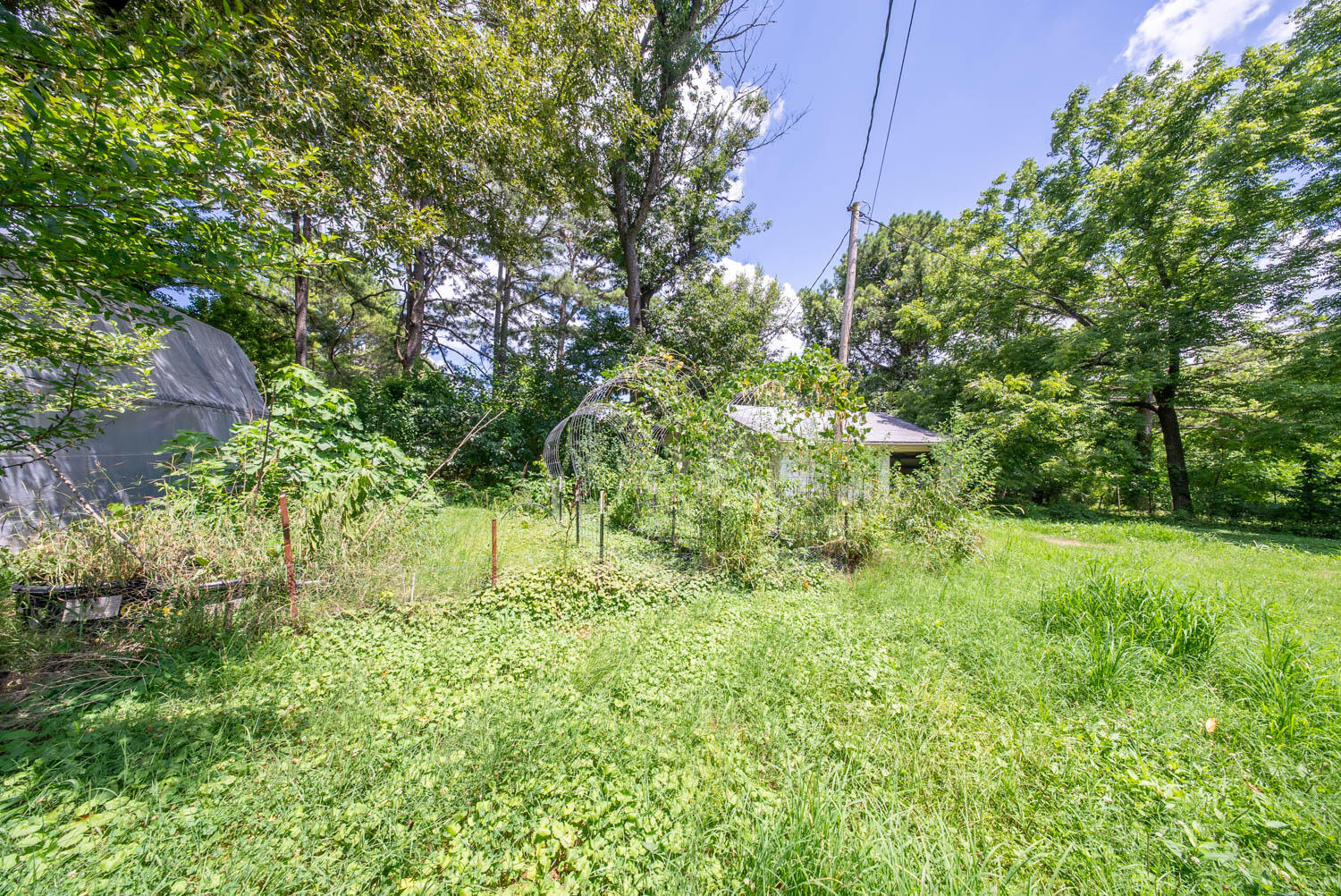 Photo 37 - Residential for sale – 155 N 12th Street  Mammoth Spring, AR