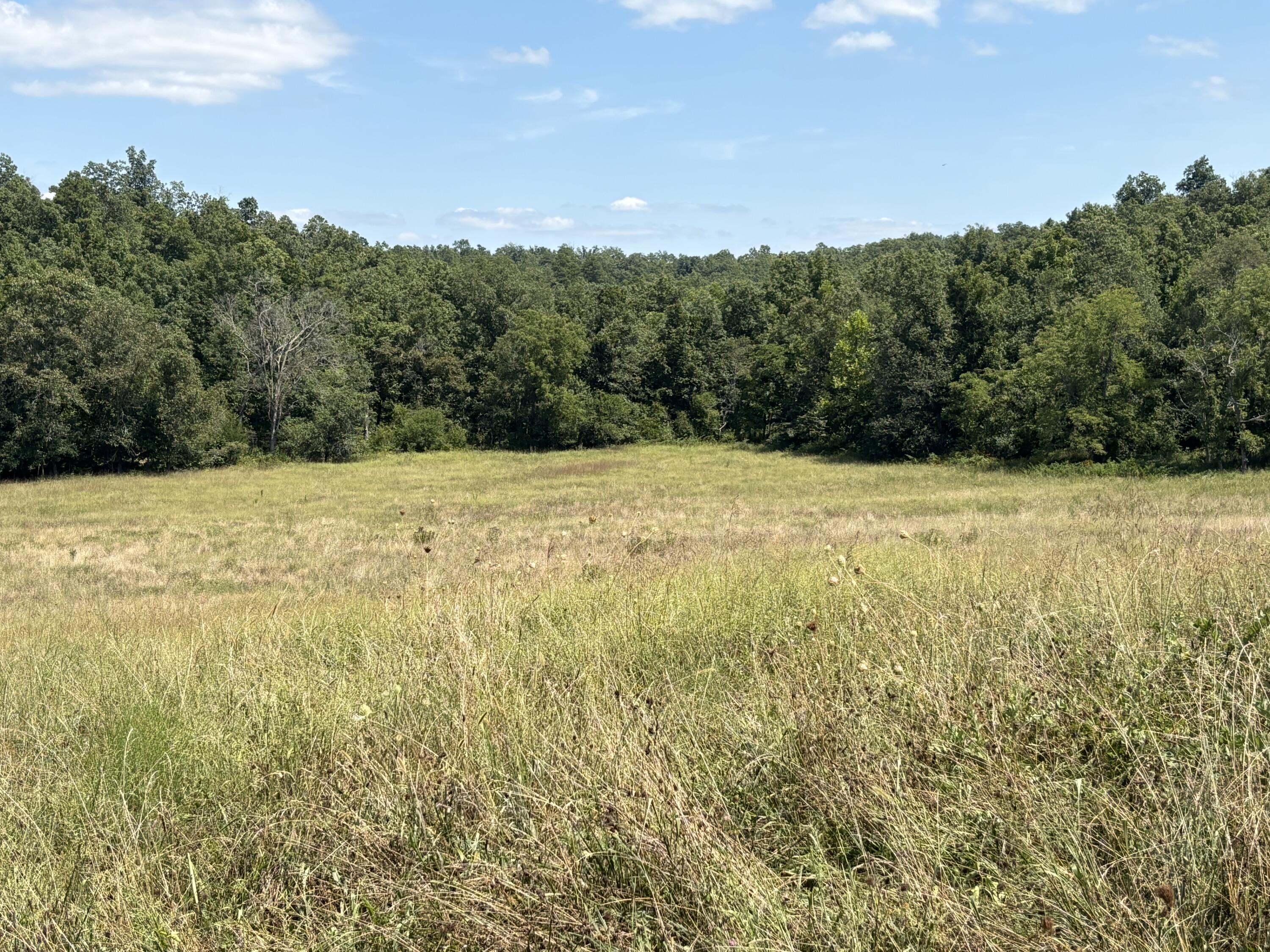 Photo 5 - Farm for sale – 3922  County Road 534   Ellington, MO