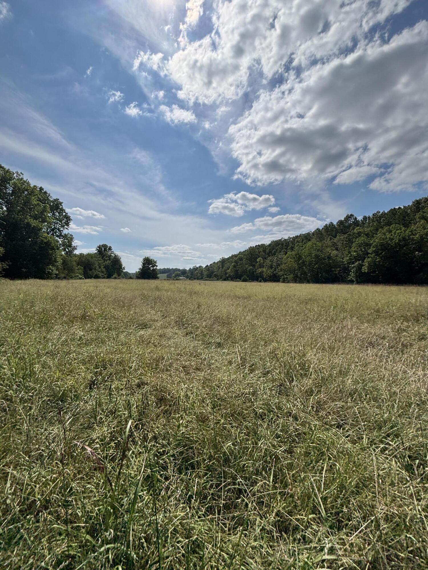 Photo 35 - Farm for sale – 3922  County Road 534   Ellington, MO