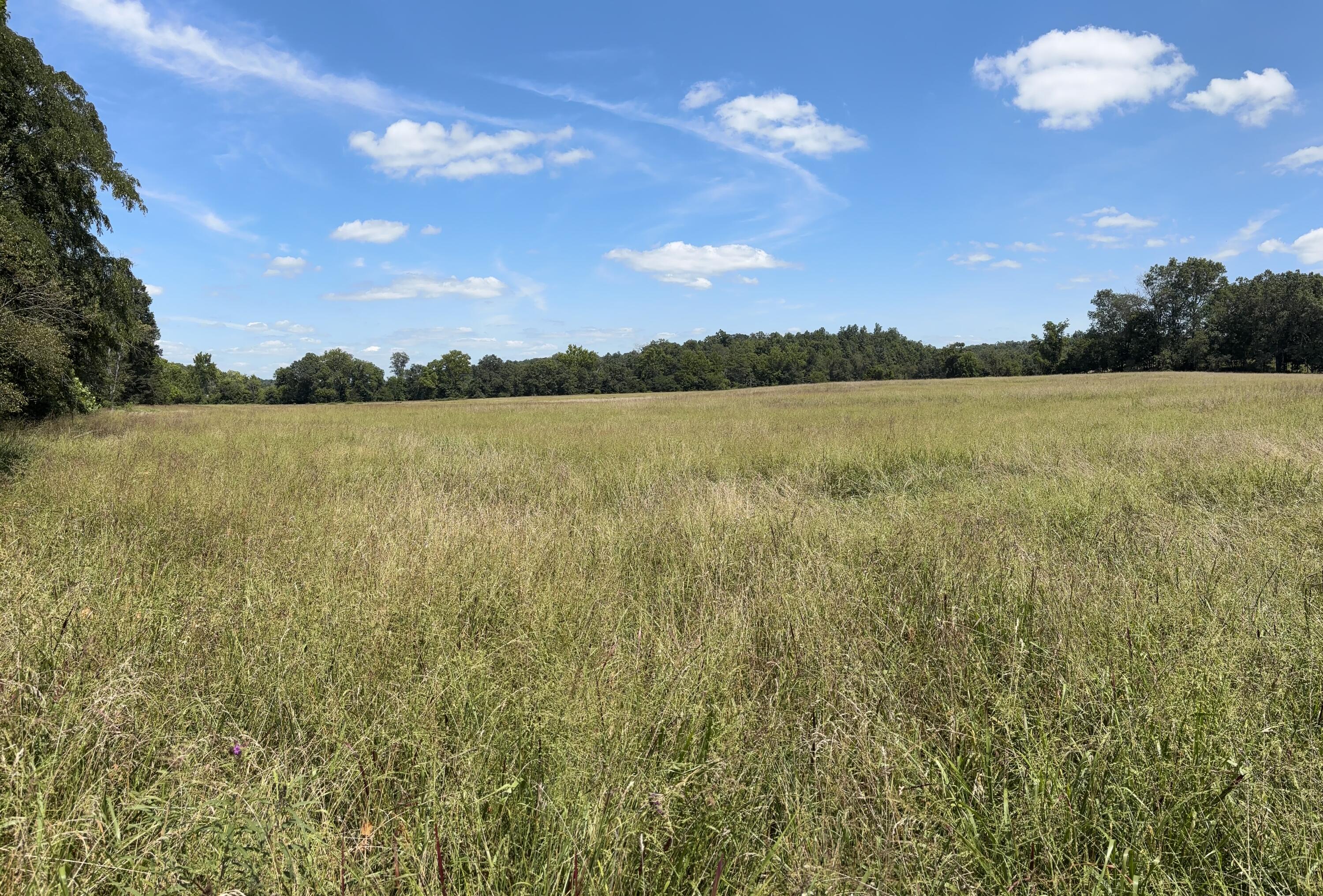 Photo 8 - Farm for sale – 3922  County Road 534   Ellington, MO