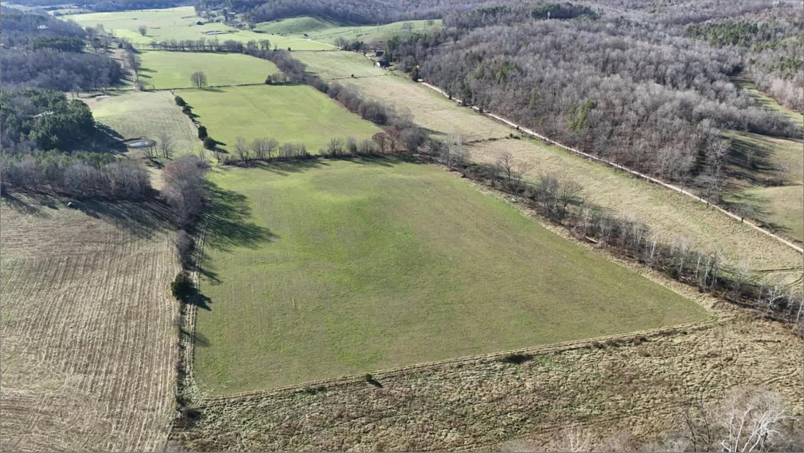 Photo 30 - Farm for sale – 3922  County Road 534   Ellington, MO