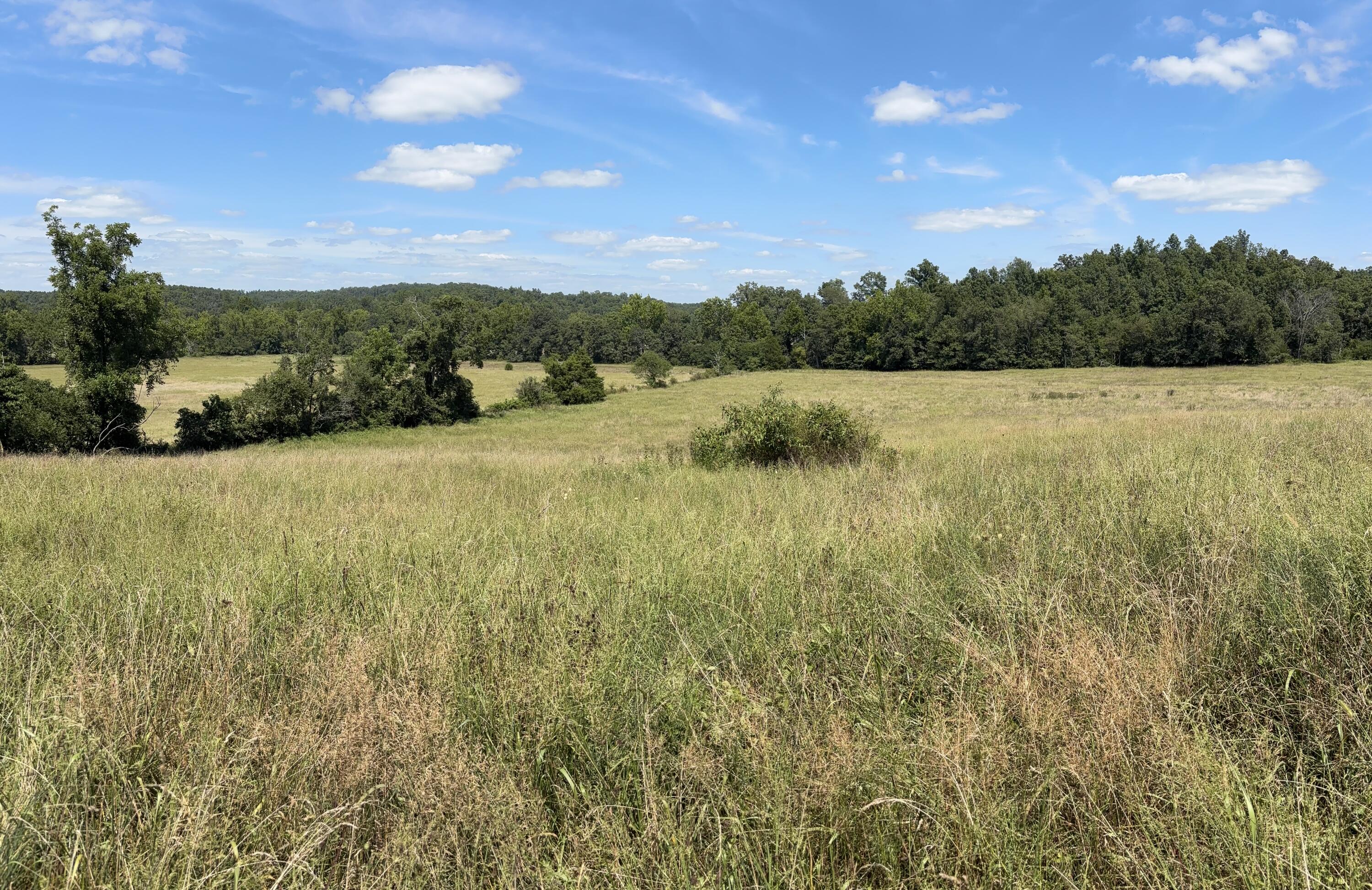 Farm for sale – 3922  County Road 534   Ellington, MO