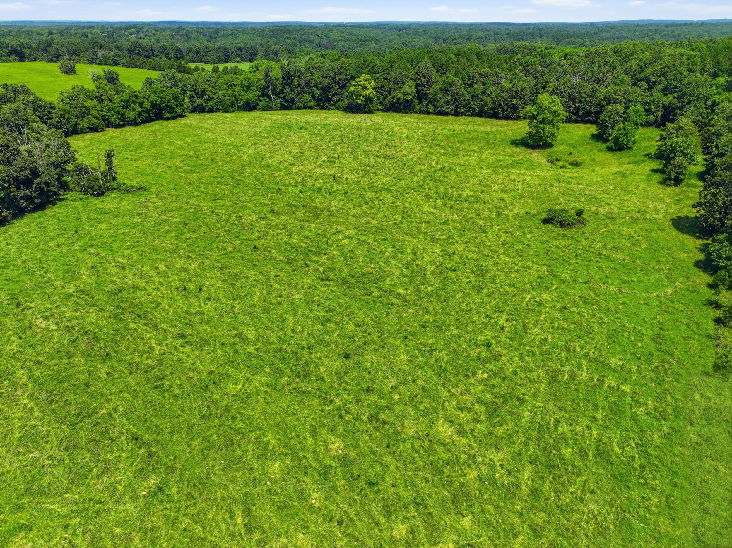 Photo 10 - Land for sale – 000  County Road 3190   Mountain View, MO