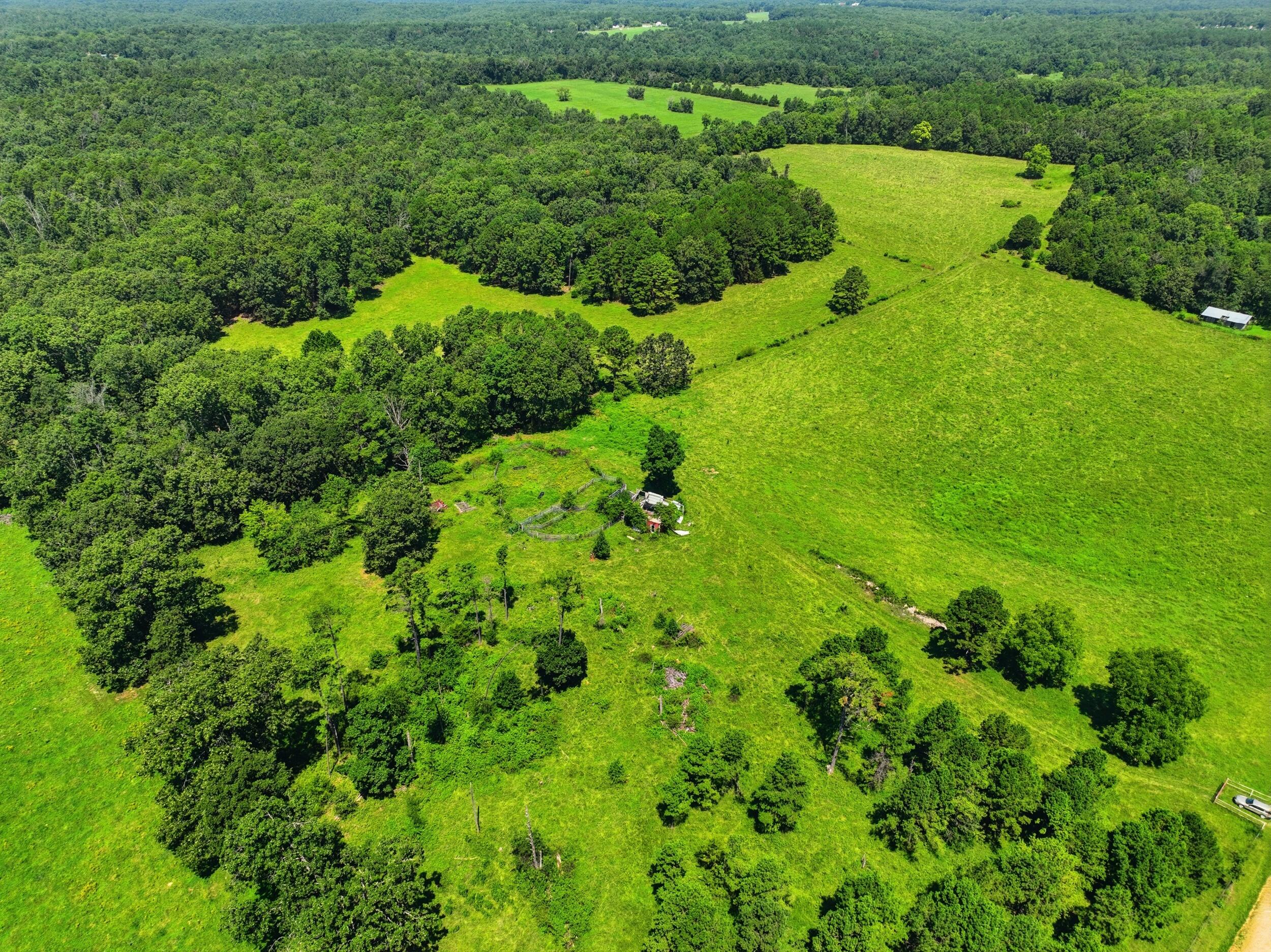 Photo 12 - Land for sale – 000  County Road 3190   Mountain View, MO