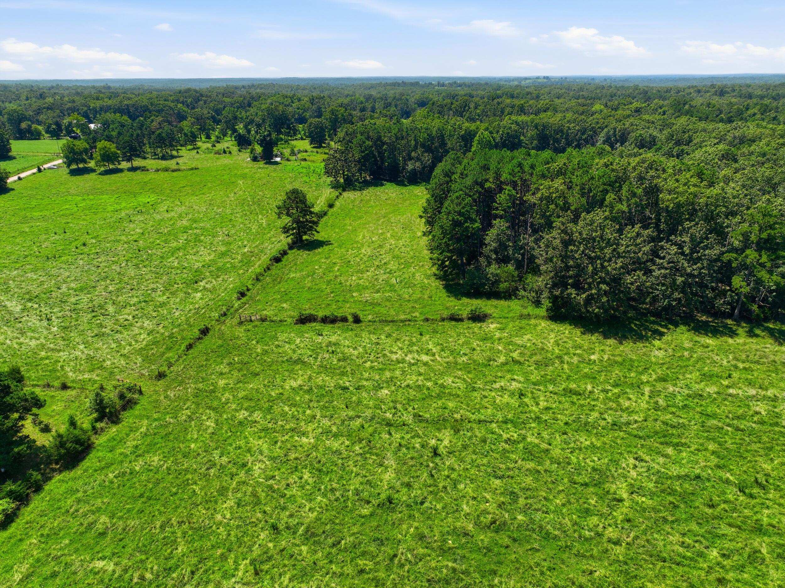 Photo 6 - Land for sale – 000  County Road 3190   Mountain View, MO