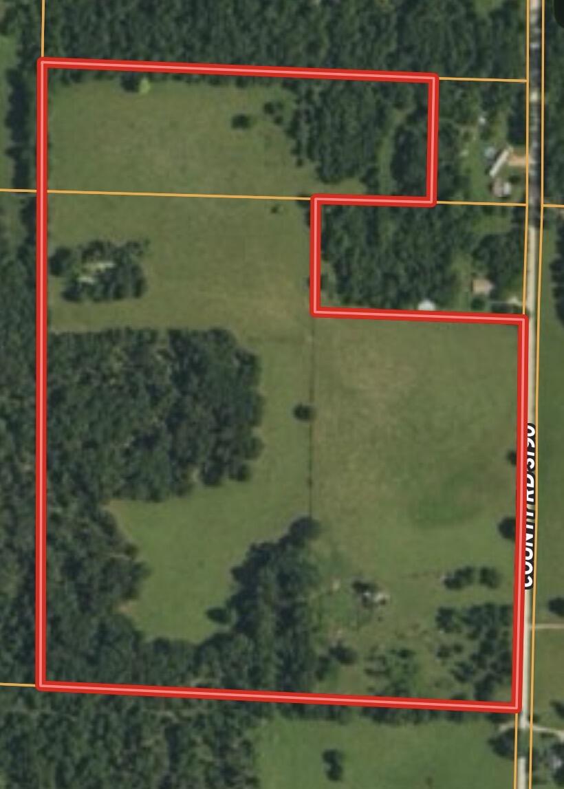 Photo 13 - Land for sale – 000  County Road 3190   Mountain View, MO
