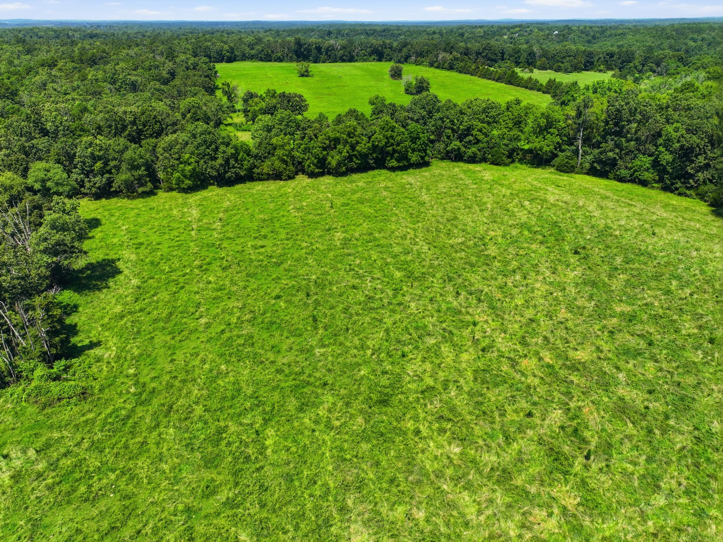 Photo 9 - Land for sale – 000  County Road 3190   Mountain View, MO