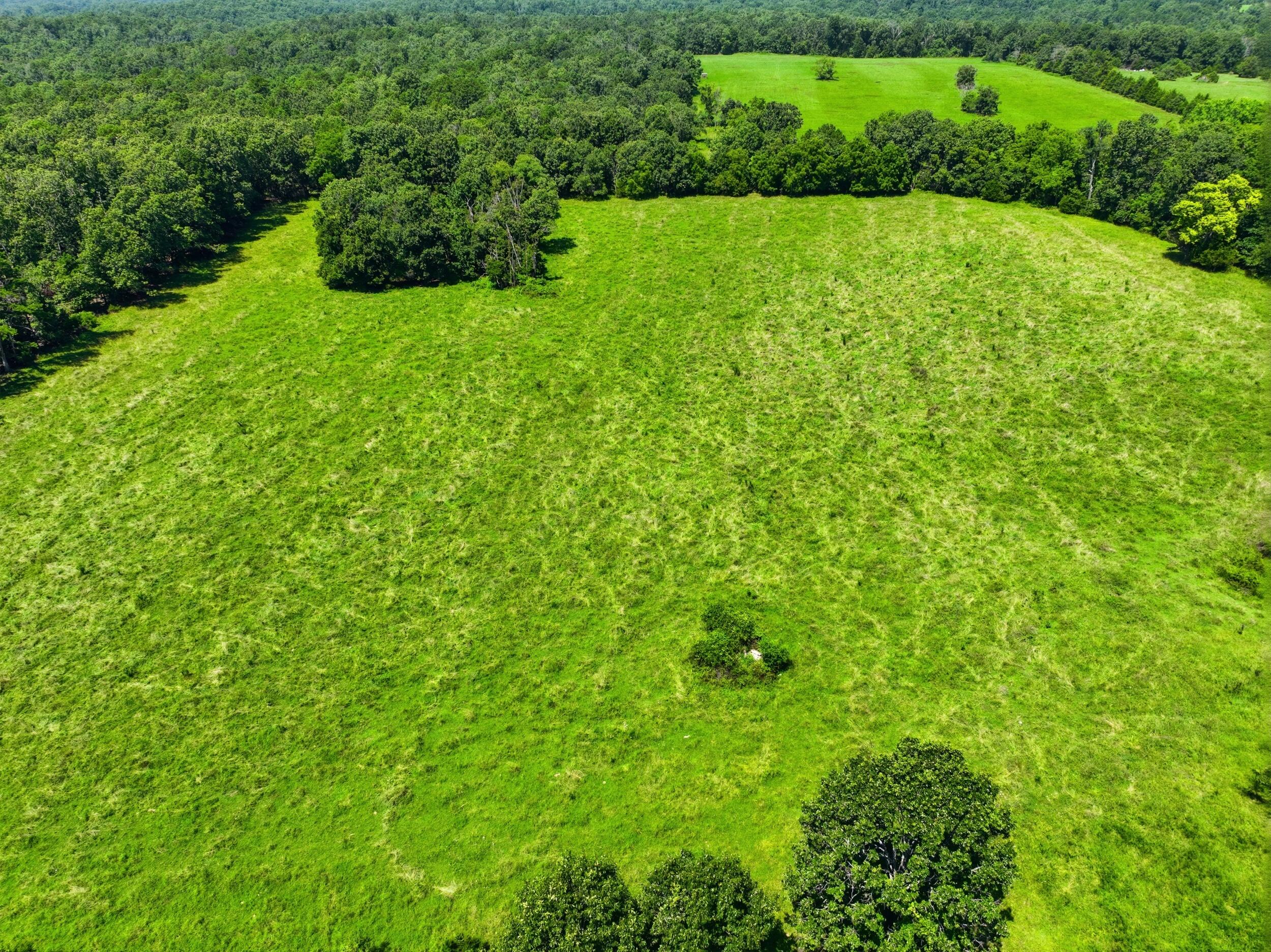 Photo 4 - Land for sale – 000  County Road 3190   Mountain View, MO