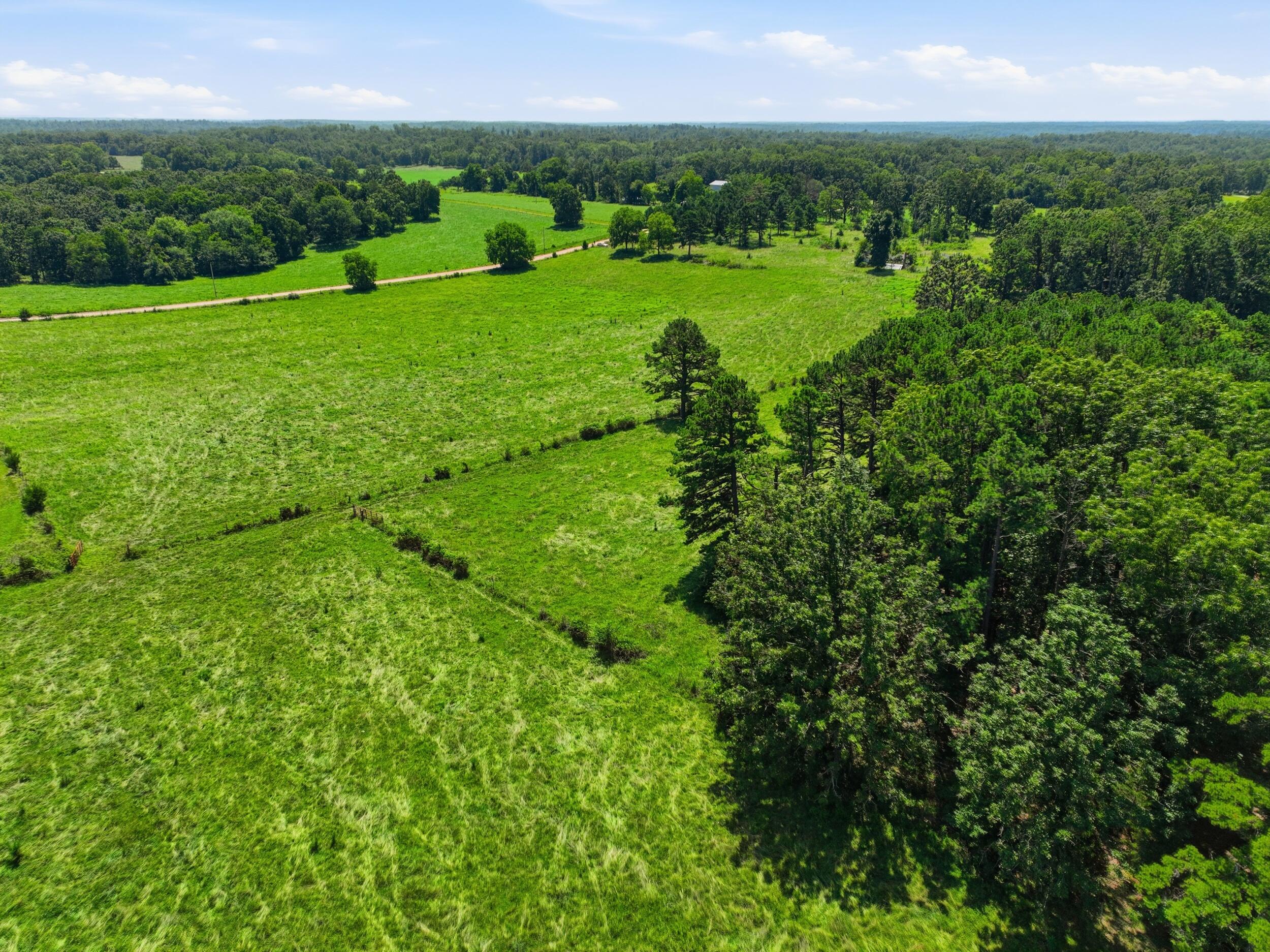 Photo 7 - Land for sale – 000  County Road 3190   Mountain View, MO