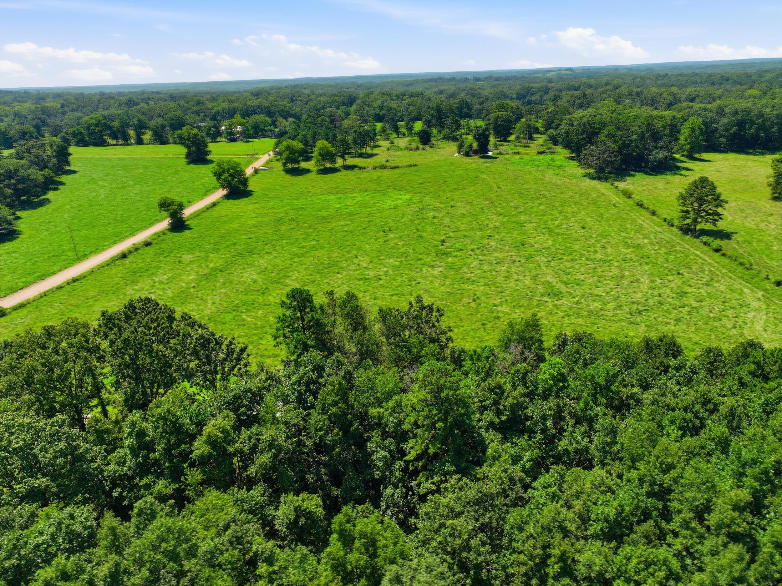 Photo 2 - Land for sale – 000  County Road 3190   Mountain View, MO