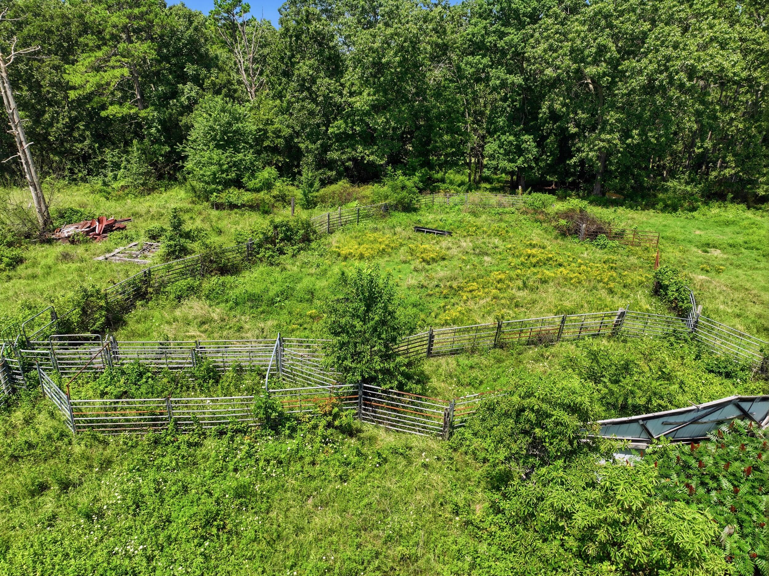 Photo 11 - Land for sale – 000  County Road 3190   Mountain View, MO