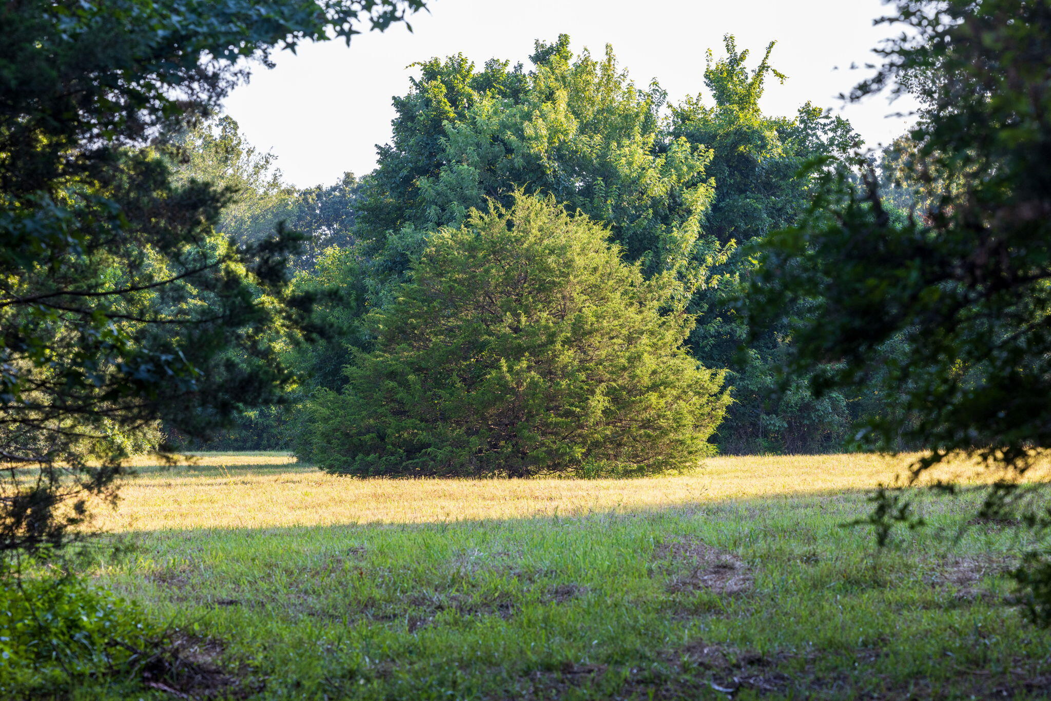 Photo 35 - Land for sale – 00 E Church Street  Aurora, MO