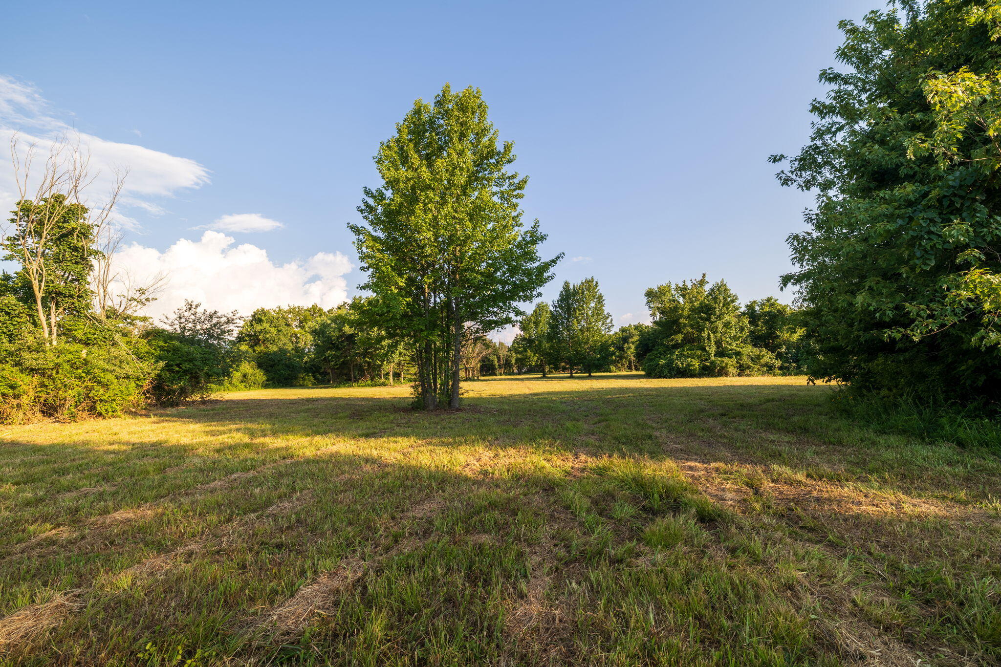 Photo 29 - Land for sale – 00 E Church Street  Aurora, MO