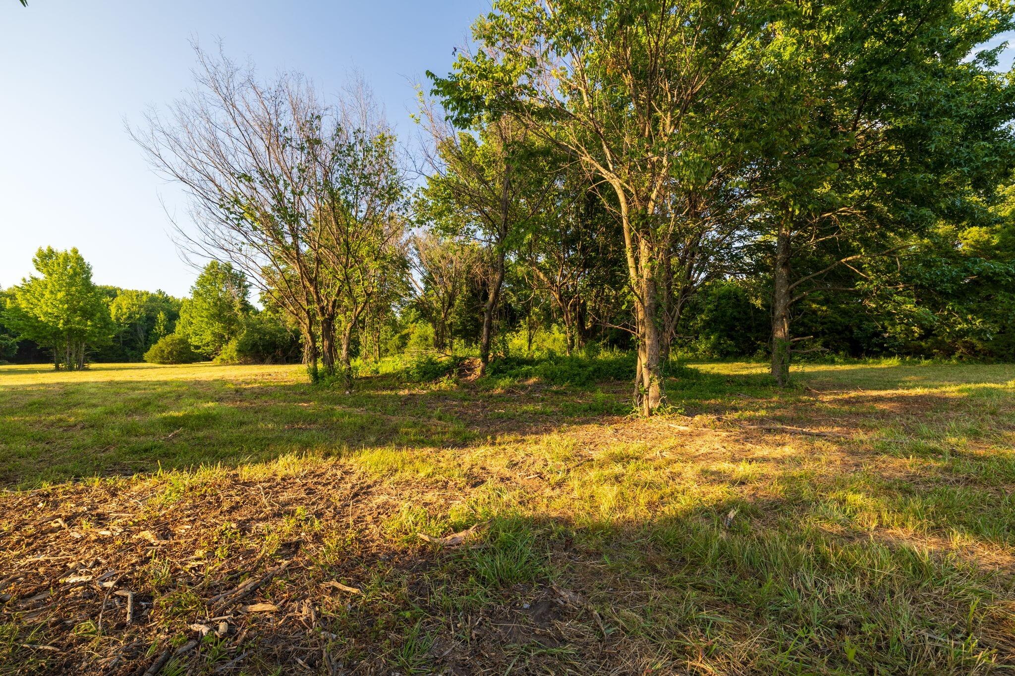 Photo 33 - Land for sale – 00 E Church Street  Aurora, MO