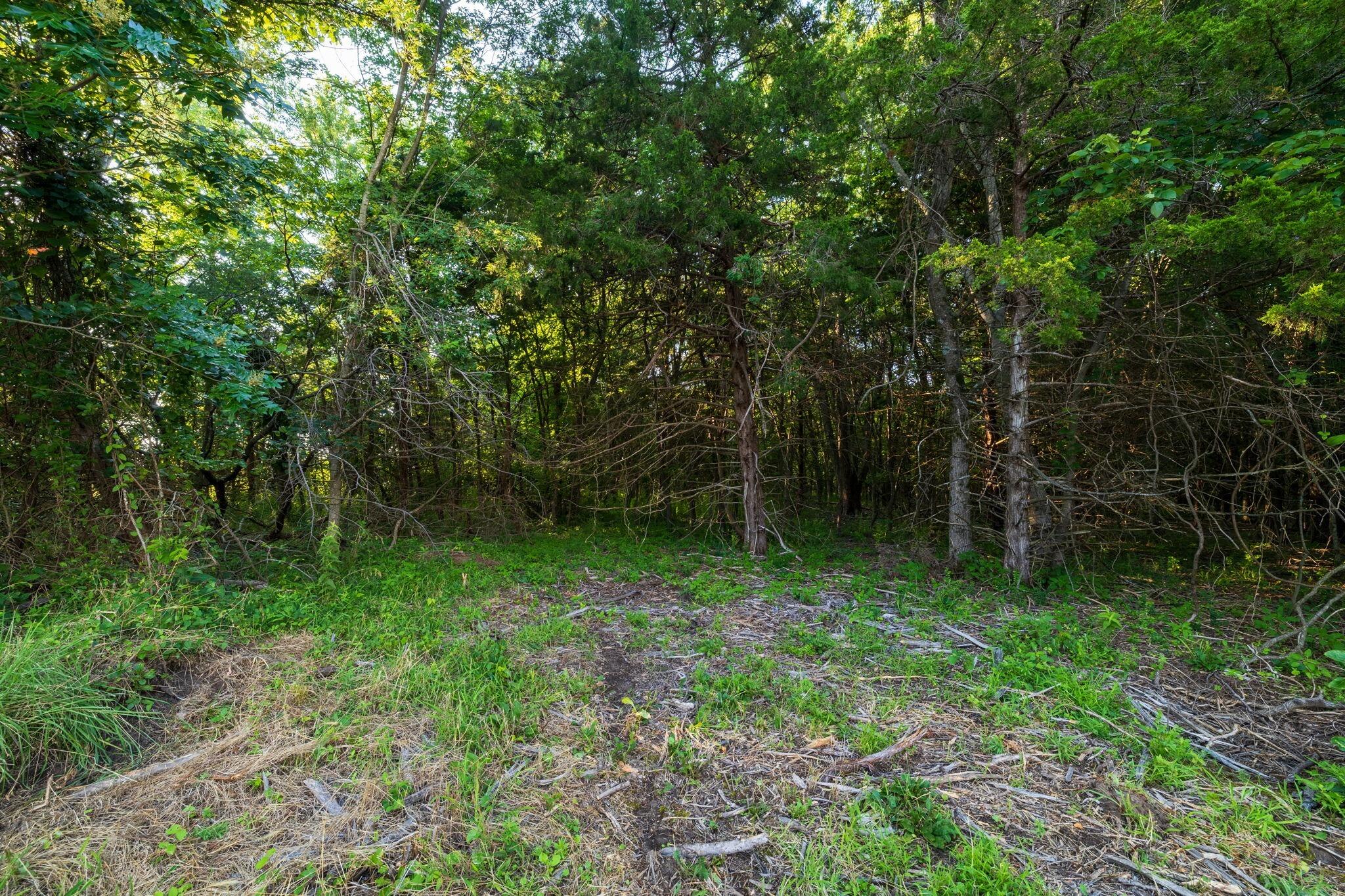 Photo 37 - Land for sale – 00 E Church Street  Aurora, MO