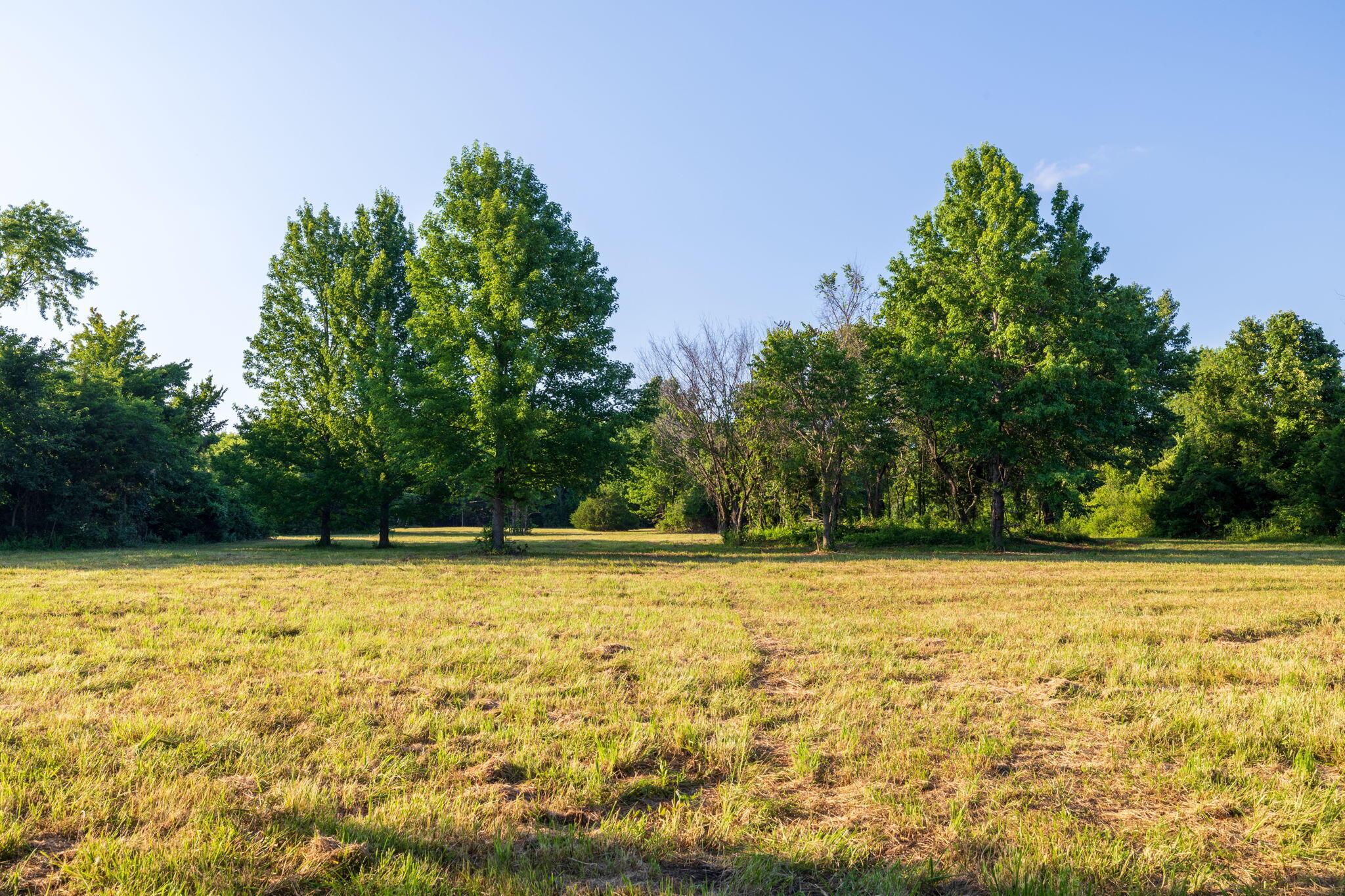 Photo 25 - Land for sale – 00 E Church Street  Aurora, MO