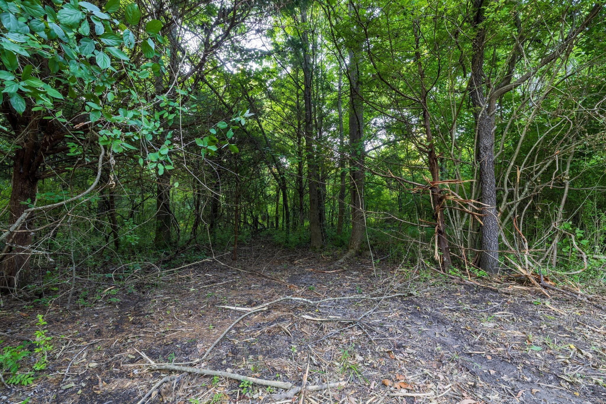 Photo 38 - Land for sale – 00 E Church Street  Aurora, MO