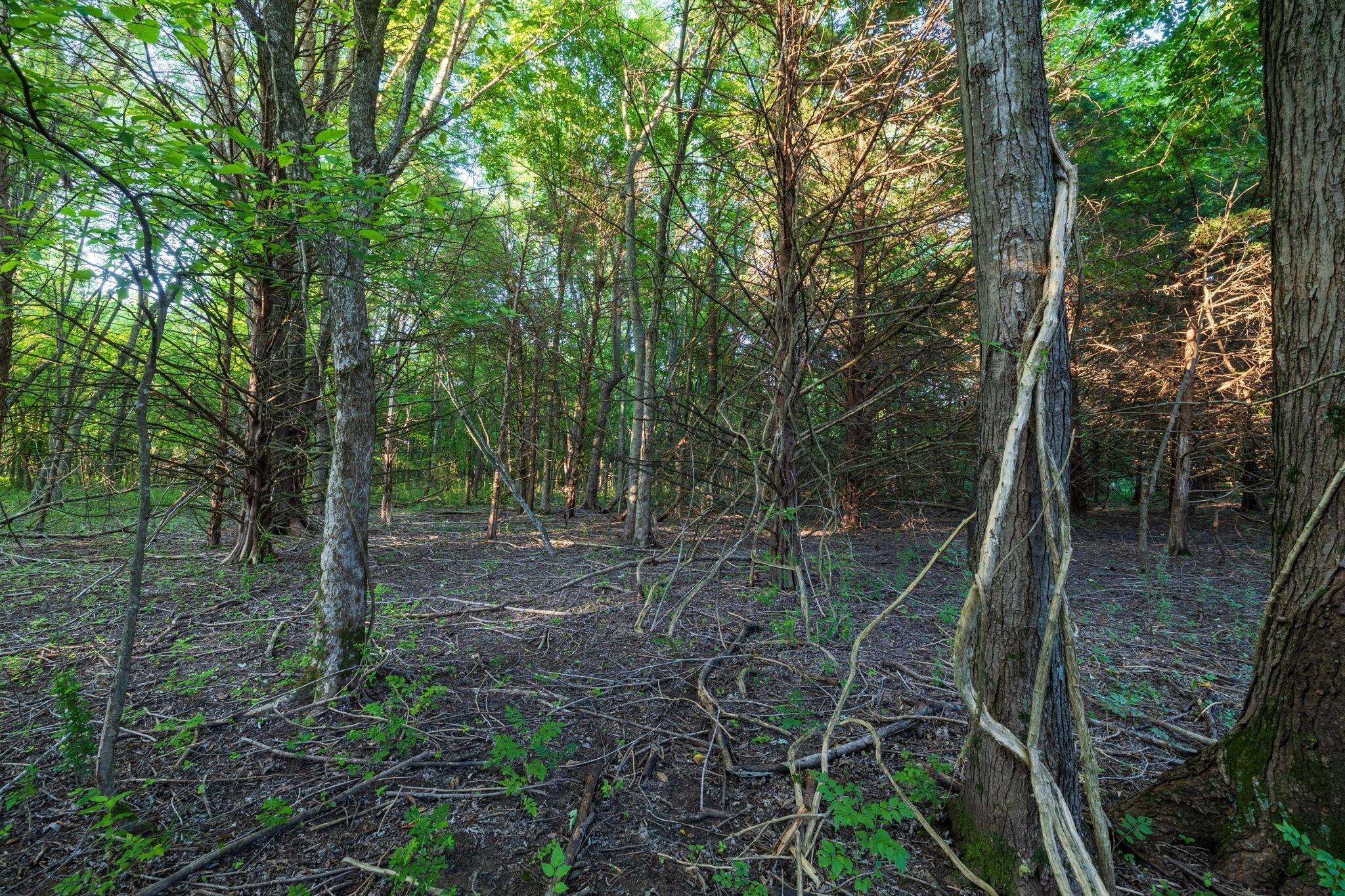 Photo 39 - Land for sale – 00 E Church Street  Aurora, MO