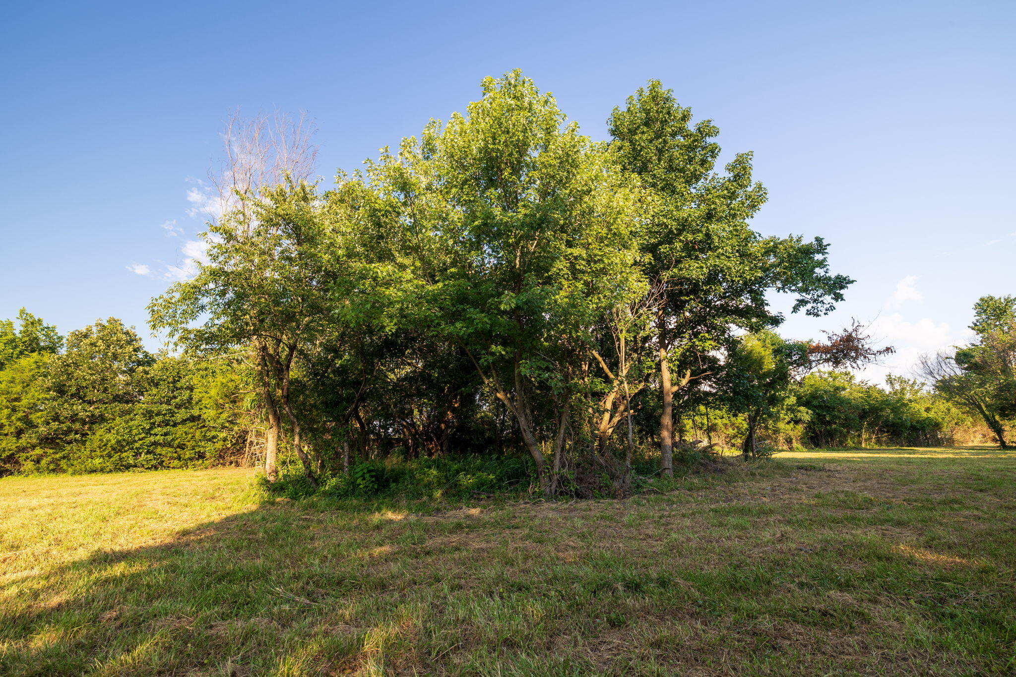 Photo 31 - Land for sale – 00 E Church Street  Aurora, MO