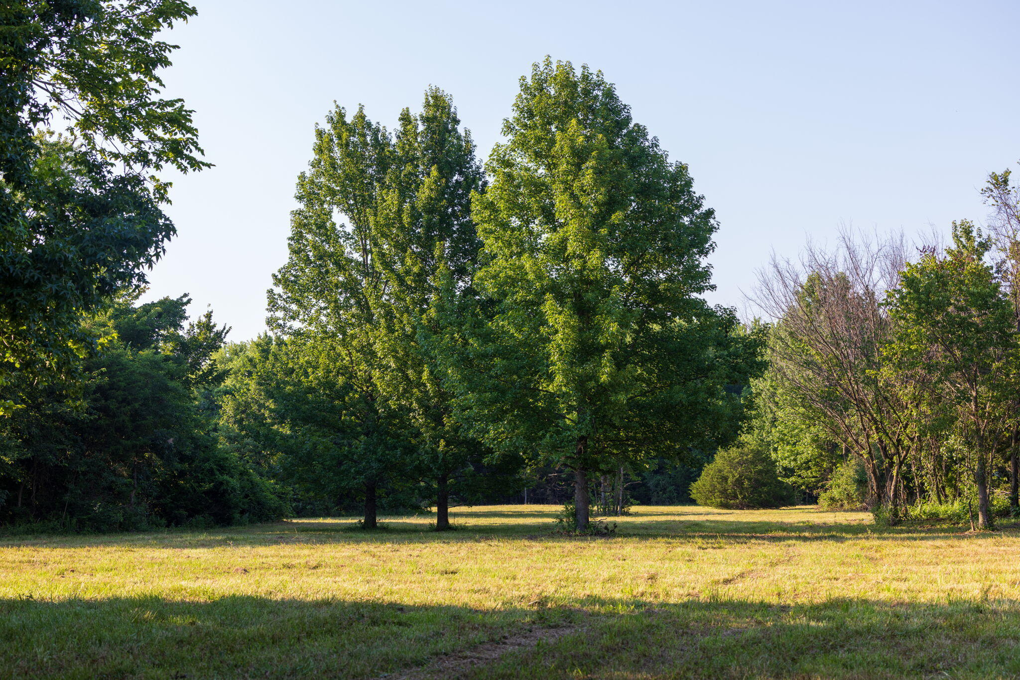 Photo 45 - Land for sale – 00 E Church Street  Aurora, MO