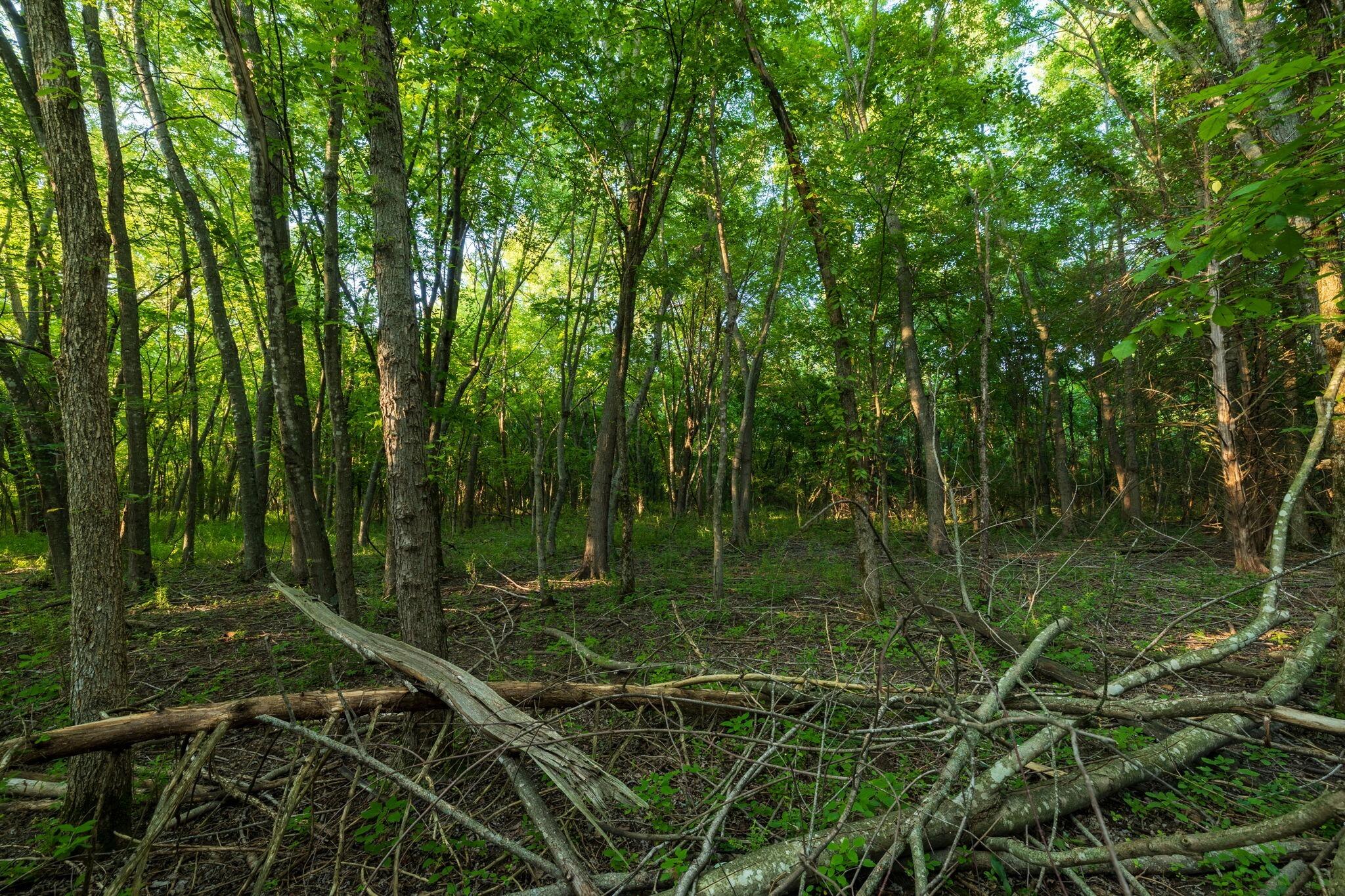 Photo 40 - Land for sale – 00 E Church Street  Aurora, MO