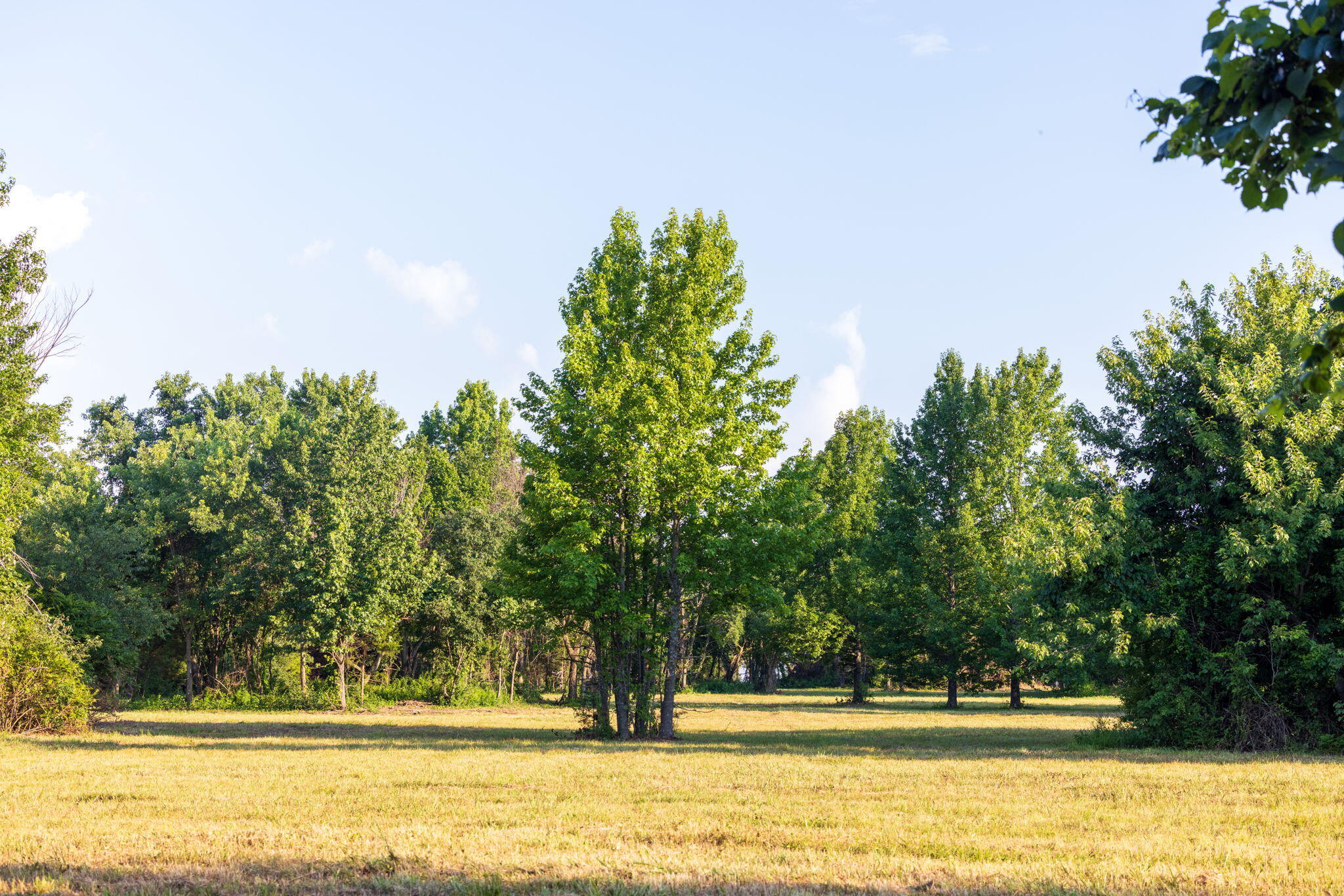 Photo 34 - Land for sale – 00 E Church Street  Aurora, MO
