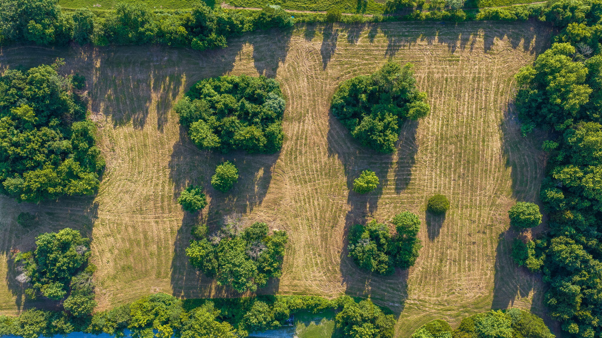 Photo 36 - Land for sale – 00 E Church Street  Aurora, MO