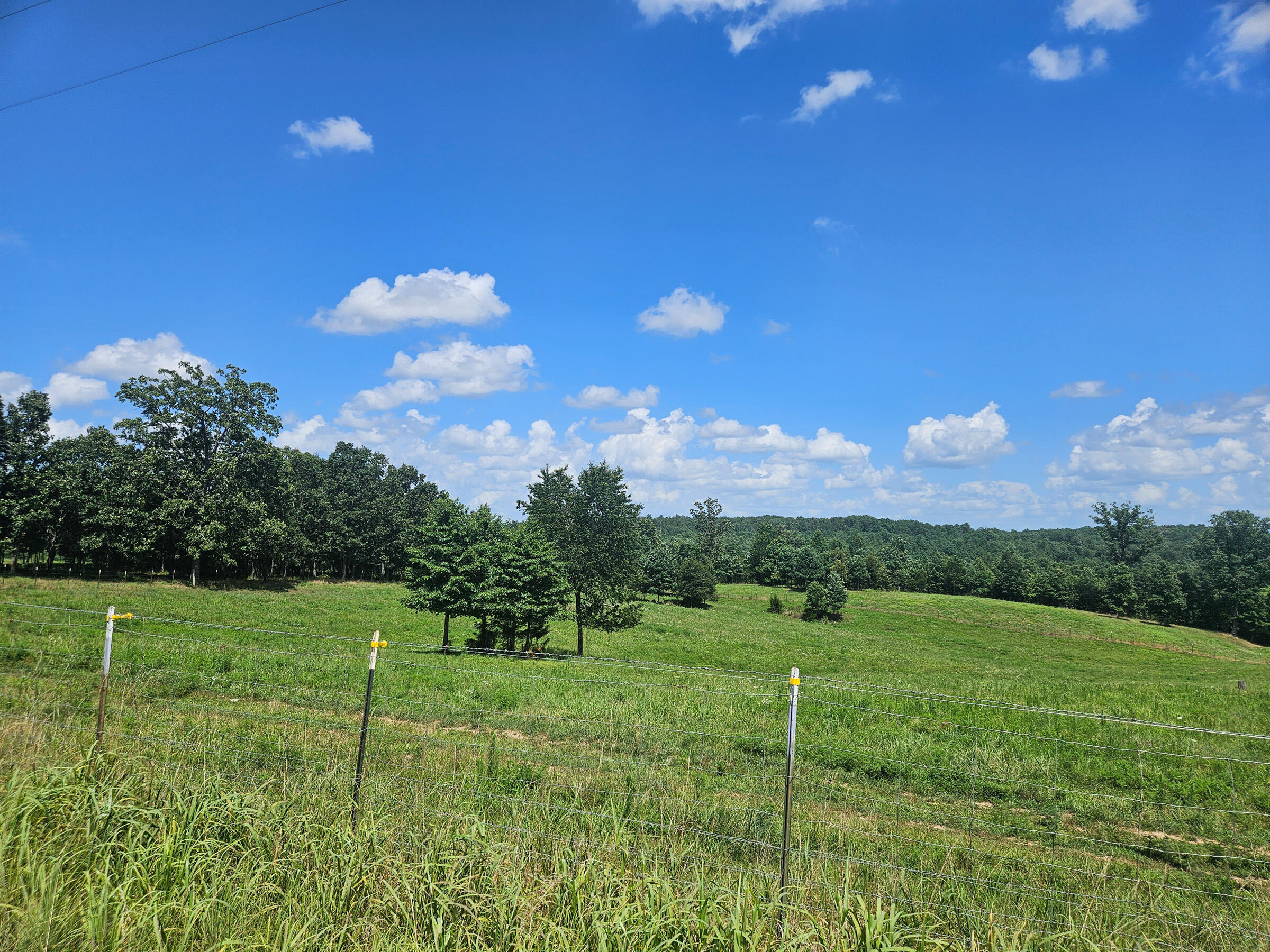 Photo 63 - Farm for sale – 4118  County Road U-659   Birch Tree, MO