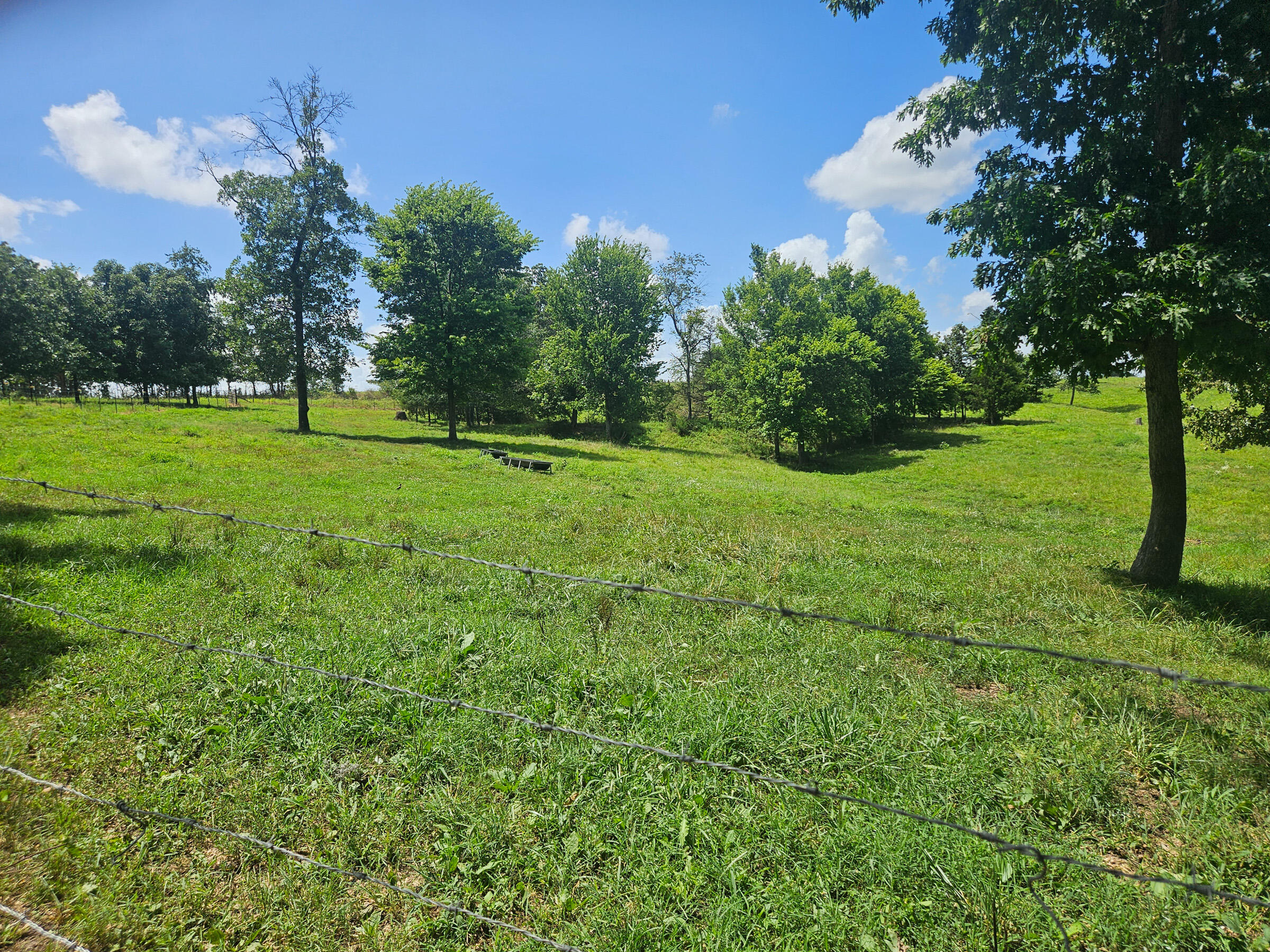 Photo 44 - Farm for sale – 4118  County Road U-659   Birch Tree, MO