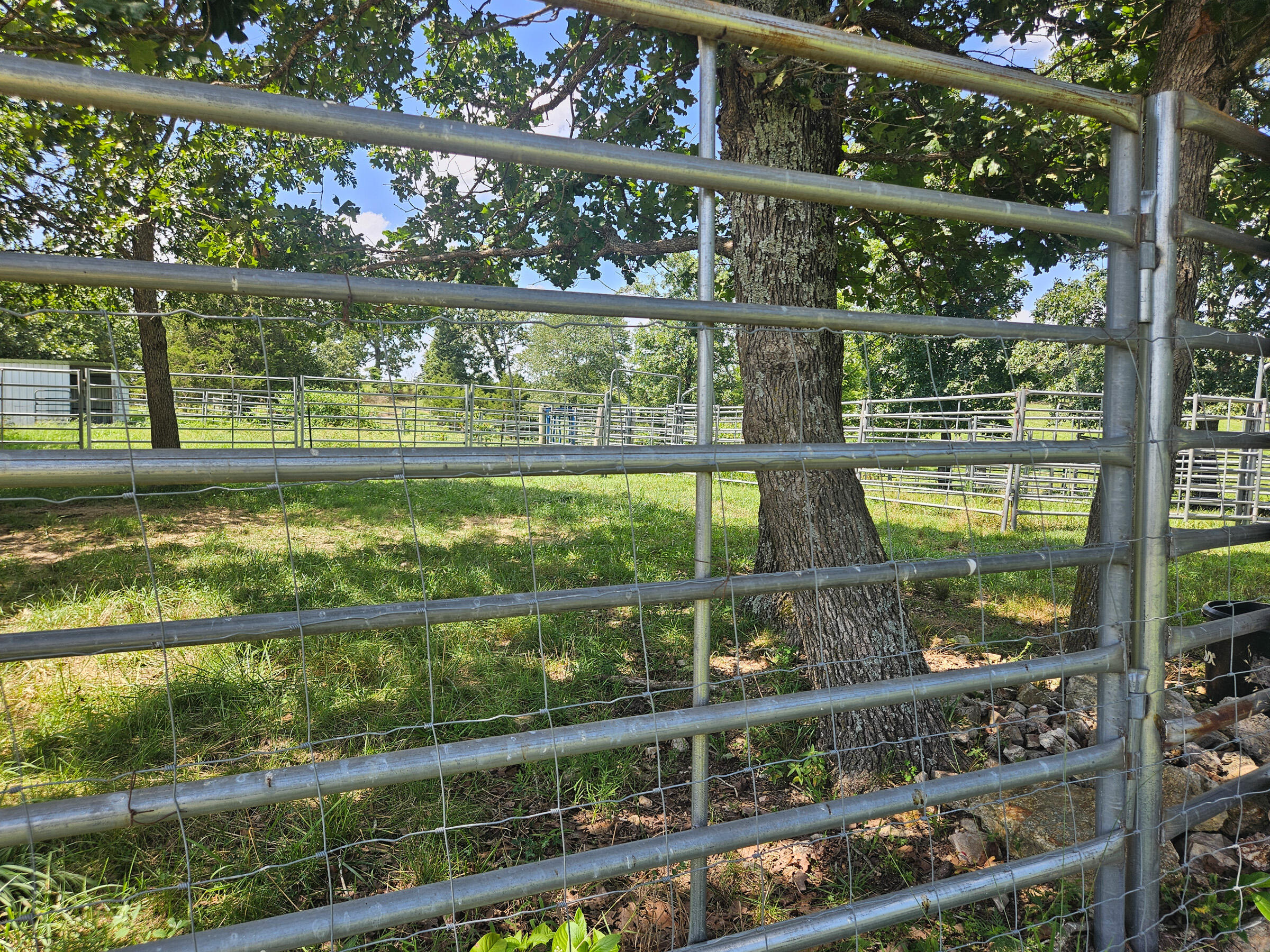 Photo 47 - Farm for sale – 4118  County Road U-659   Birch Tree, MO