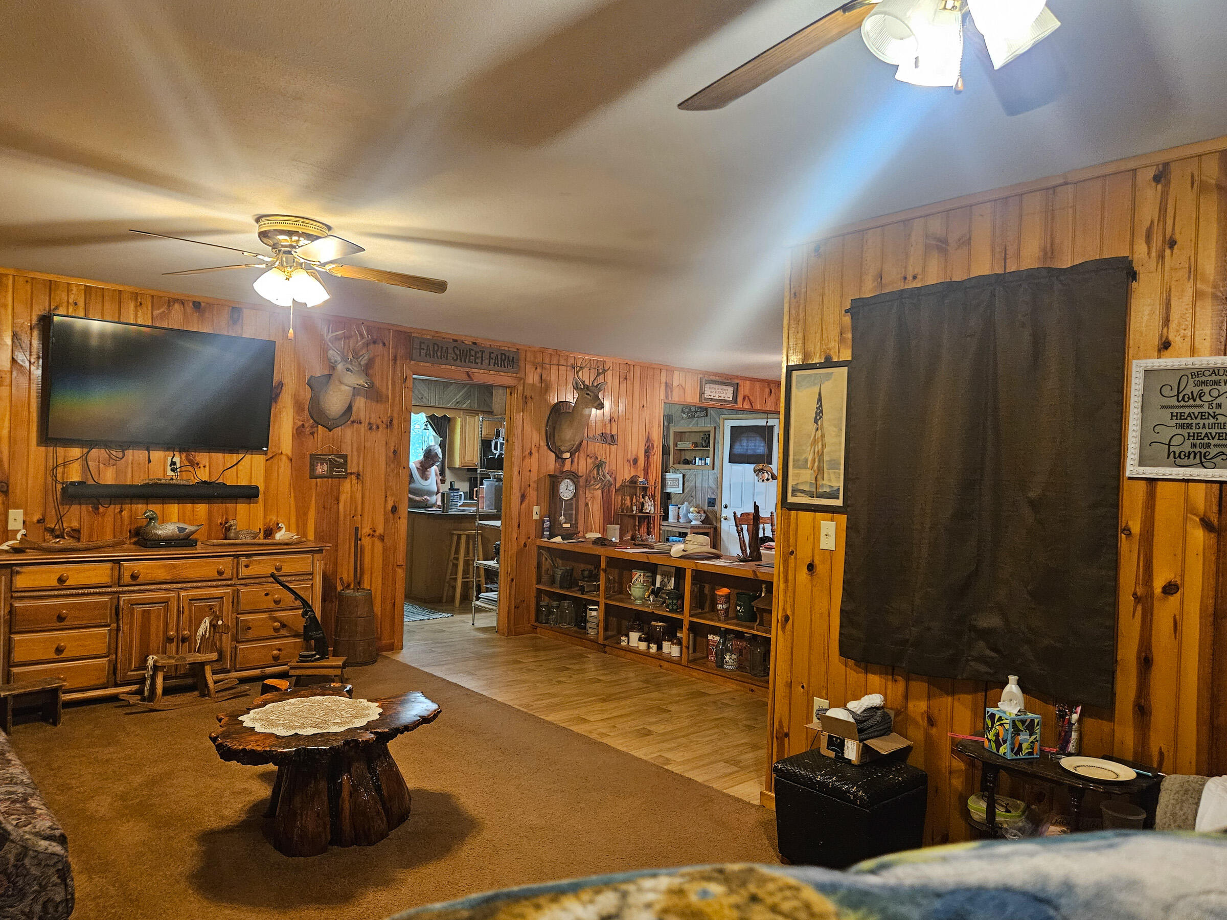 Photo 11 - Farm for sale – 4118  County Road U-659   Birch Tree, MO