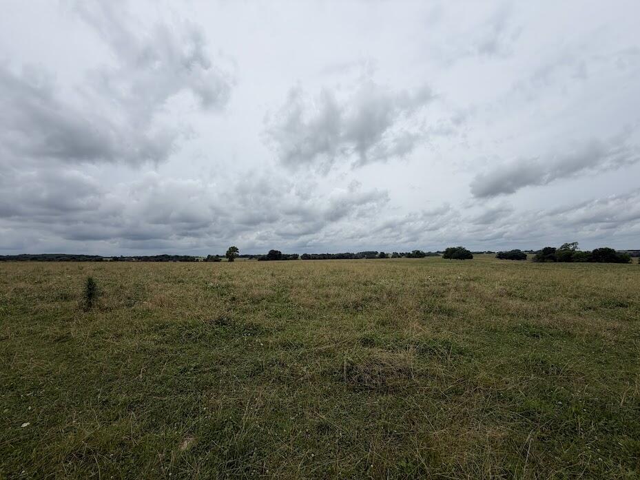 Land for sale – Tract 8  State Route T   Bolivar, MO