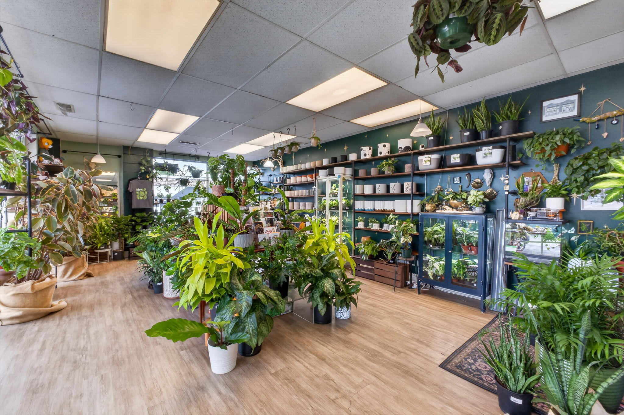 Photo 7 - Commercial Sale for sale – 1938 S Glenstone Avenue  Springfield, MO