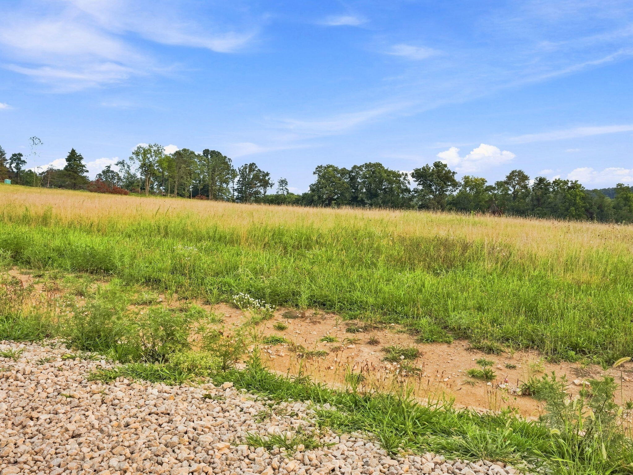 Photo 5 - Land for sale – Lot 12  Arden Ridge Phase 1   Ava, MO