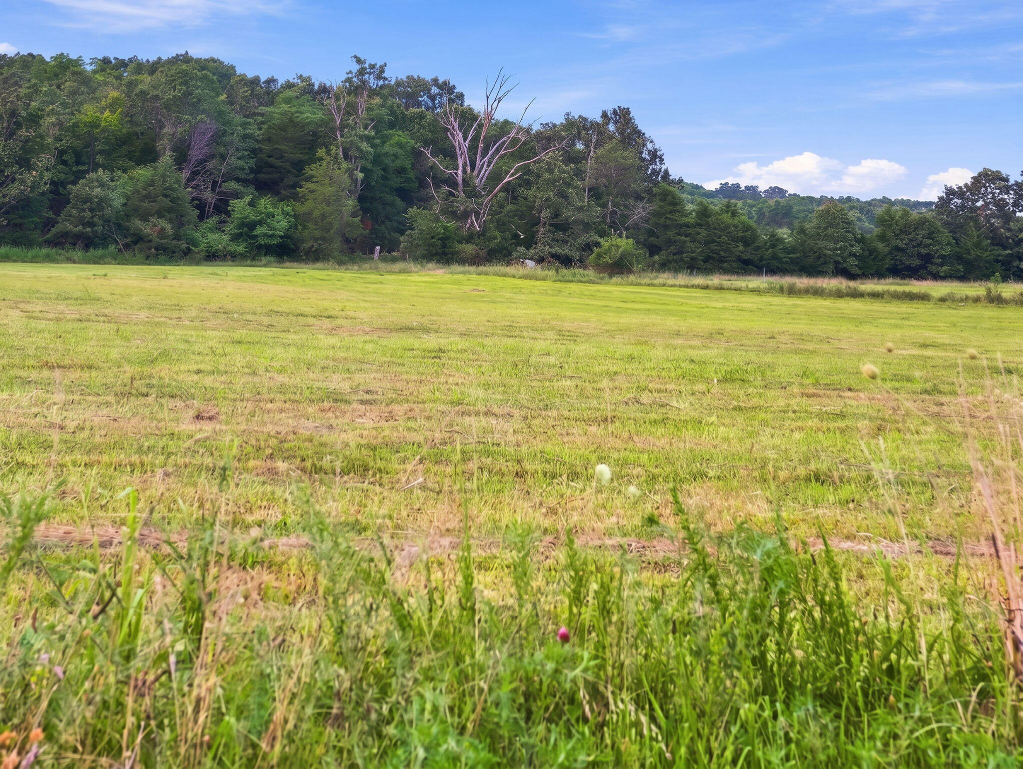 Photo 8 - Land for sale – Lot 14  Arden Ridge Phase 1   Ava, MO