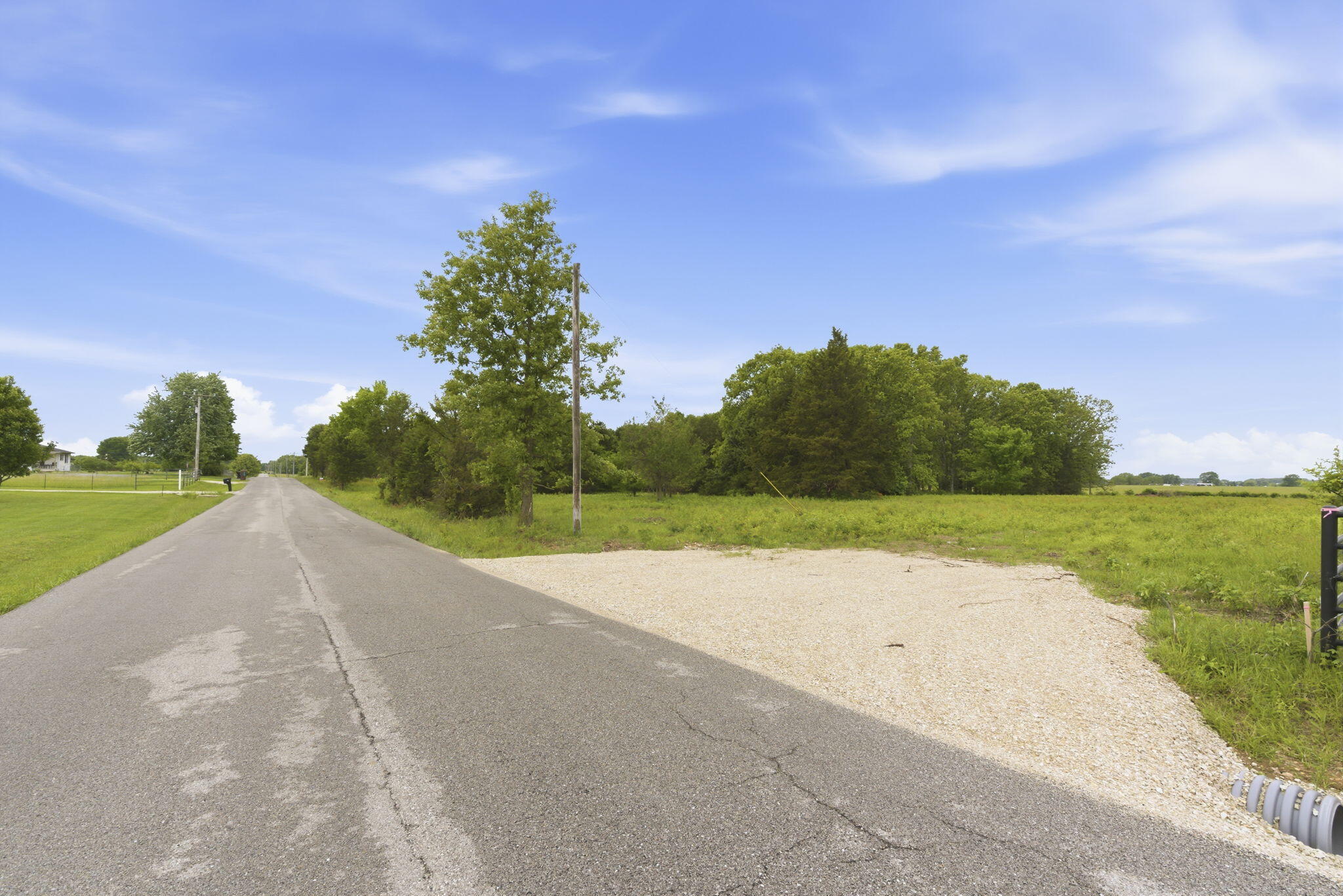 Photo 4 - Land for sale – 000  Chicory Road  Rogersville, MO