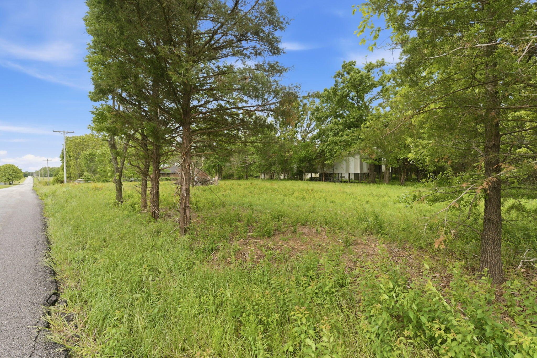 Photo 3 - Land for sale – 000  Chicory Road  Rogersville, MO