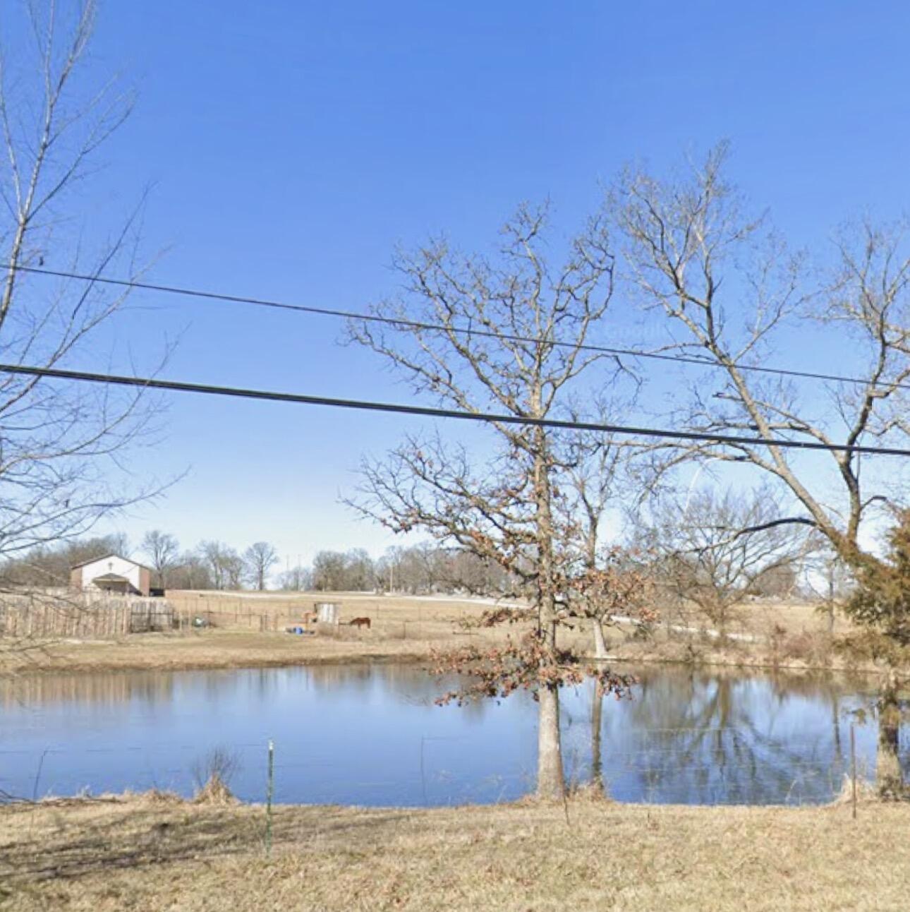 Photo 9 - Land for sale – 699 N Main Street  Pleasant Hope, MO
