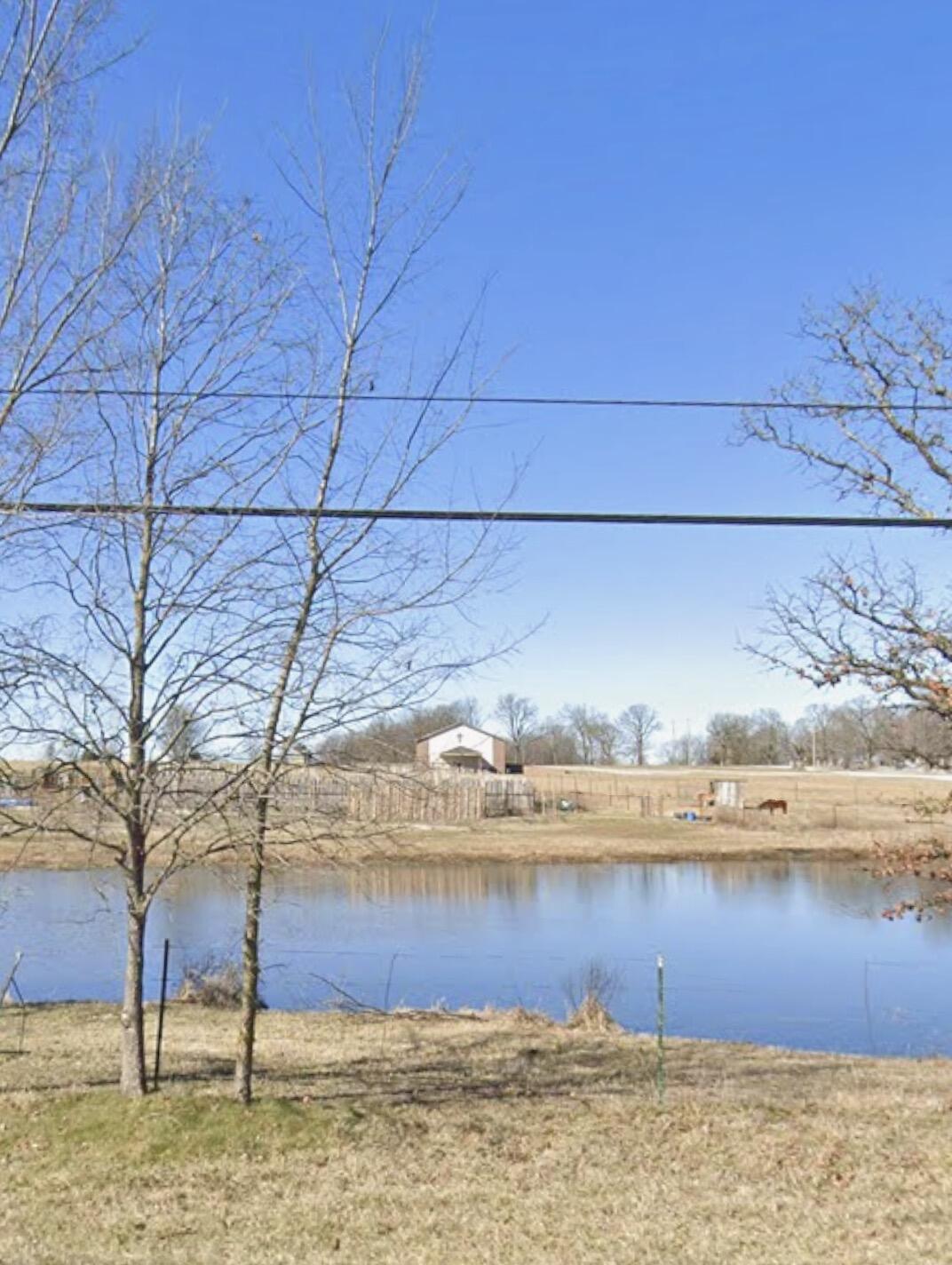 Photo 10 - Land for sale – 699 N Main Street  Pleasant Hope, MO