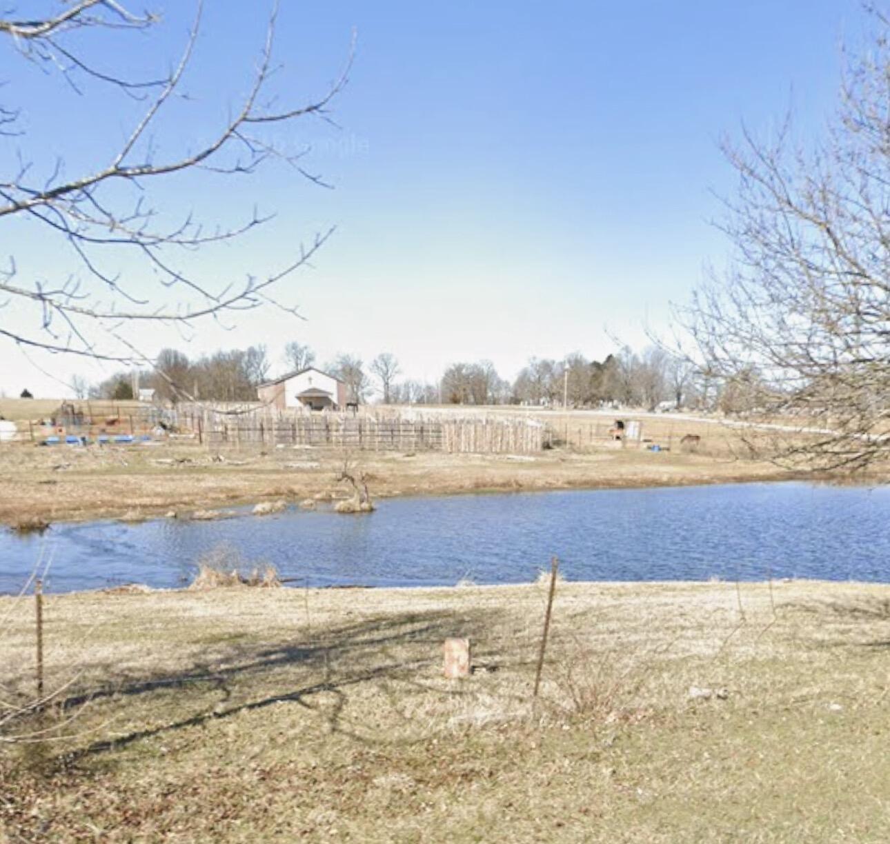 Photo 8 - Land for sale – 699 N Main Street  Pleasant Hope, MO