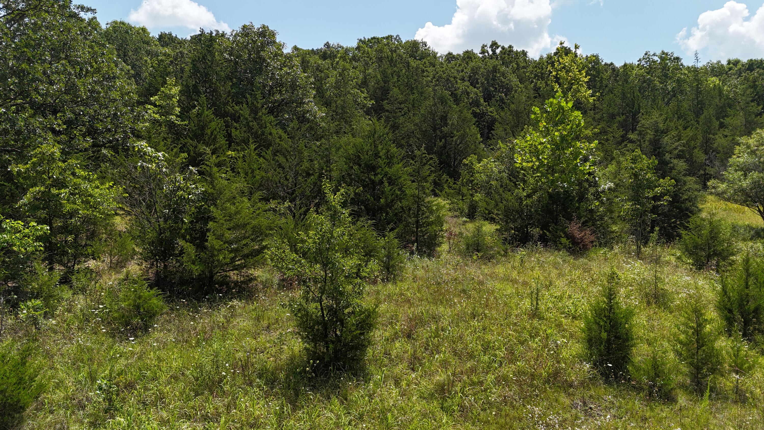 Land for sale – 0  Mills Valley Boulevard  Marshfield, MO