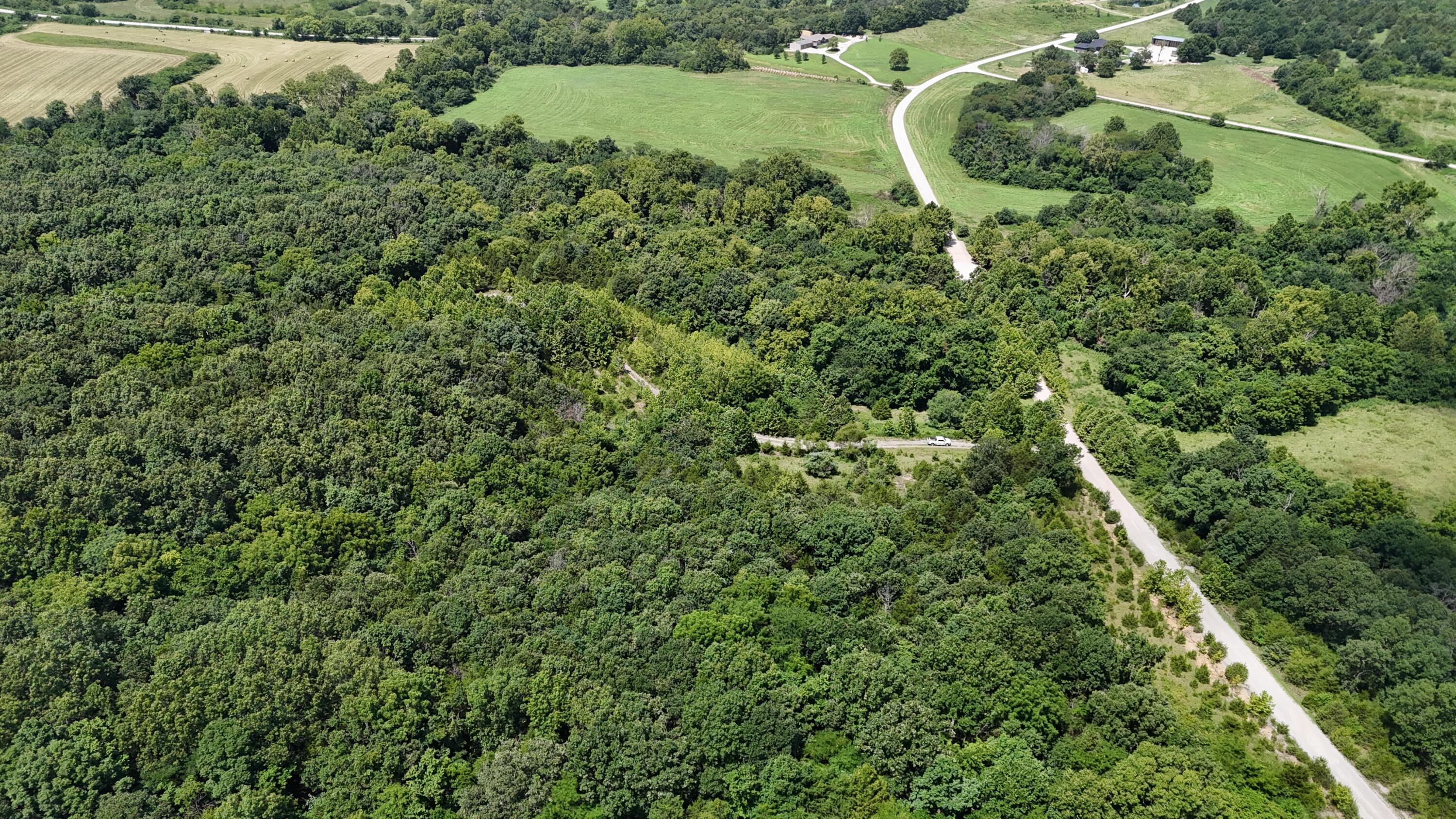 Photo 8 - Land for sale – 0  Mills Valley Boulevard  Marshfield, MO