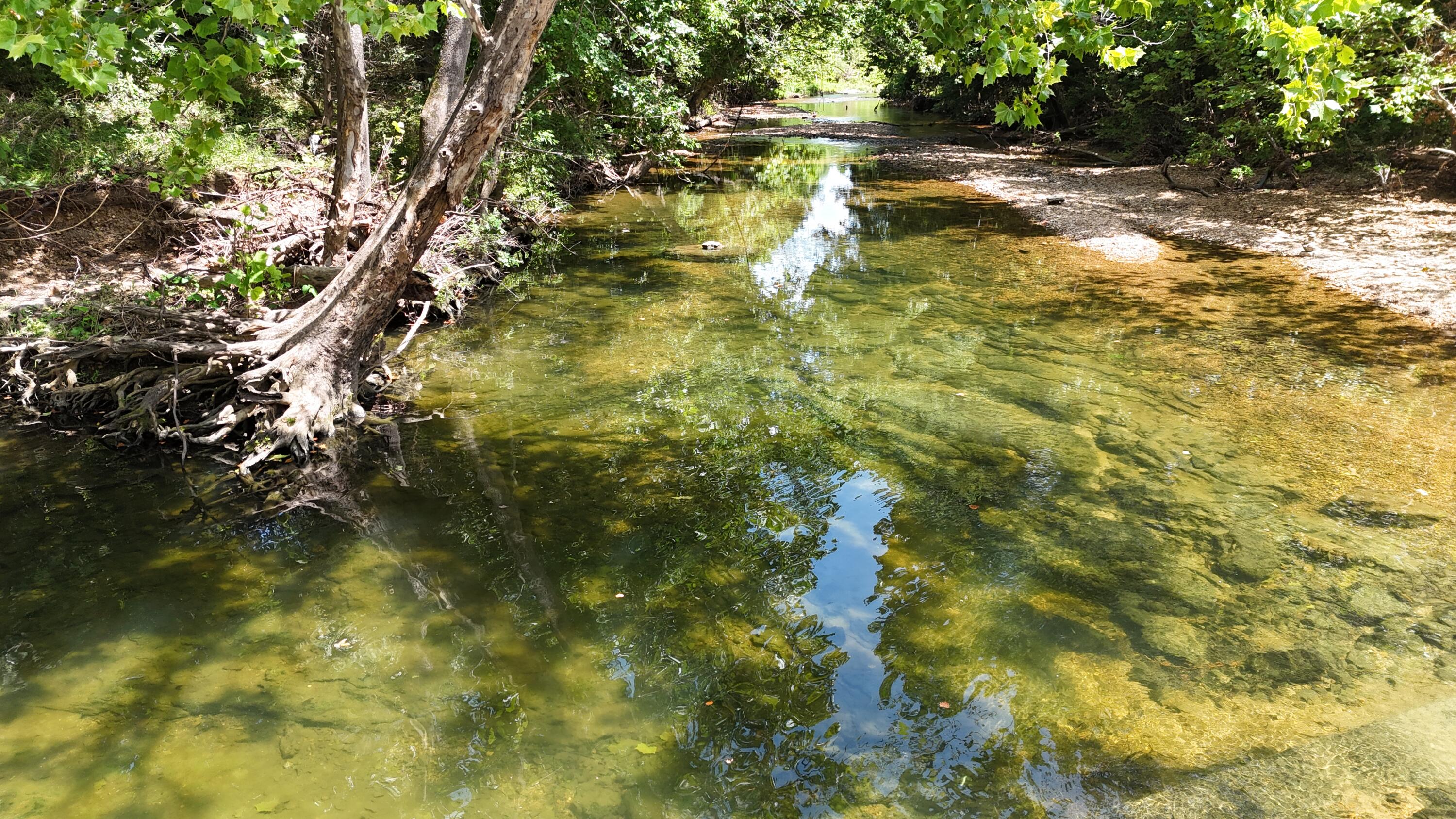 Photo 3 - Land for sale – 0  Mills Valley Boulevard  Marshfield, MO