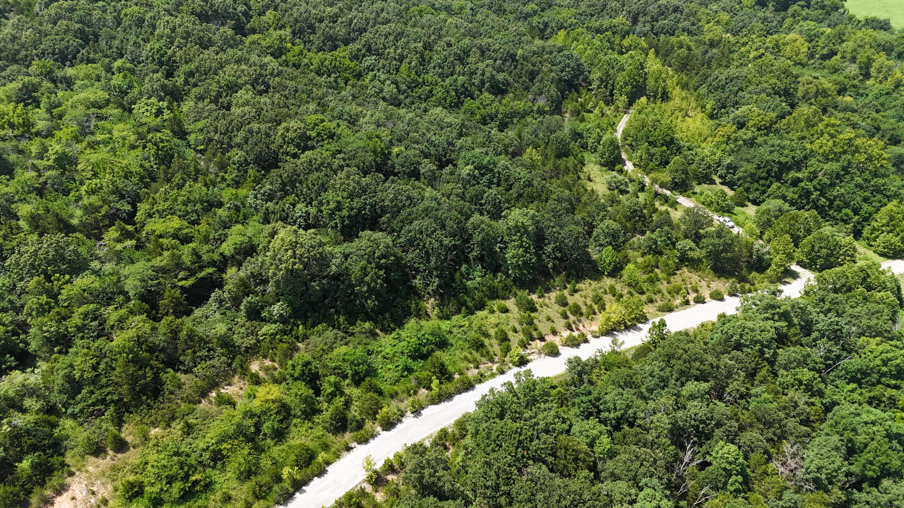 Photo 5 - Land for sale – 0  Mills Valley Boulevard  Marshfield, MO