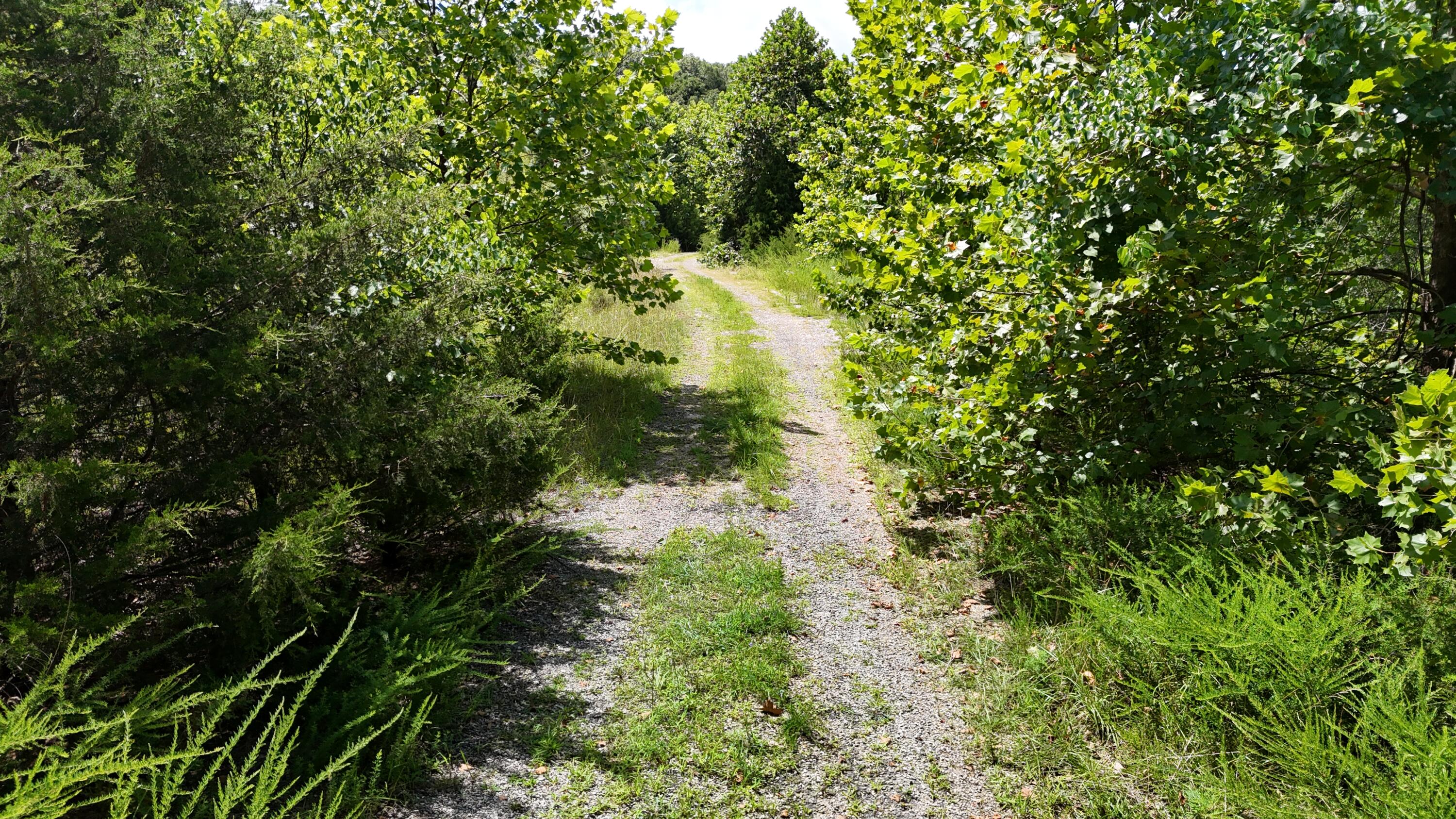 Photo 12 - Land for sale – 0  Mills Valley Boulevard  Marshfield, MO