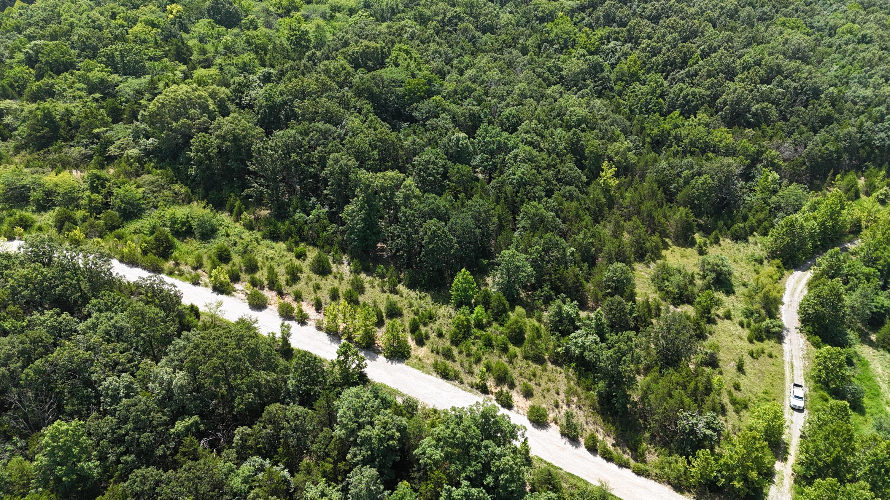 Photo 4 - Land for sale – 0  Mills Valley Boulevard  Marshfield, MO